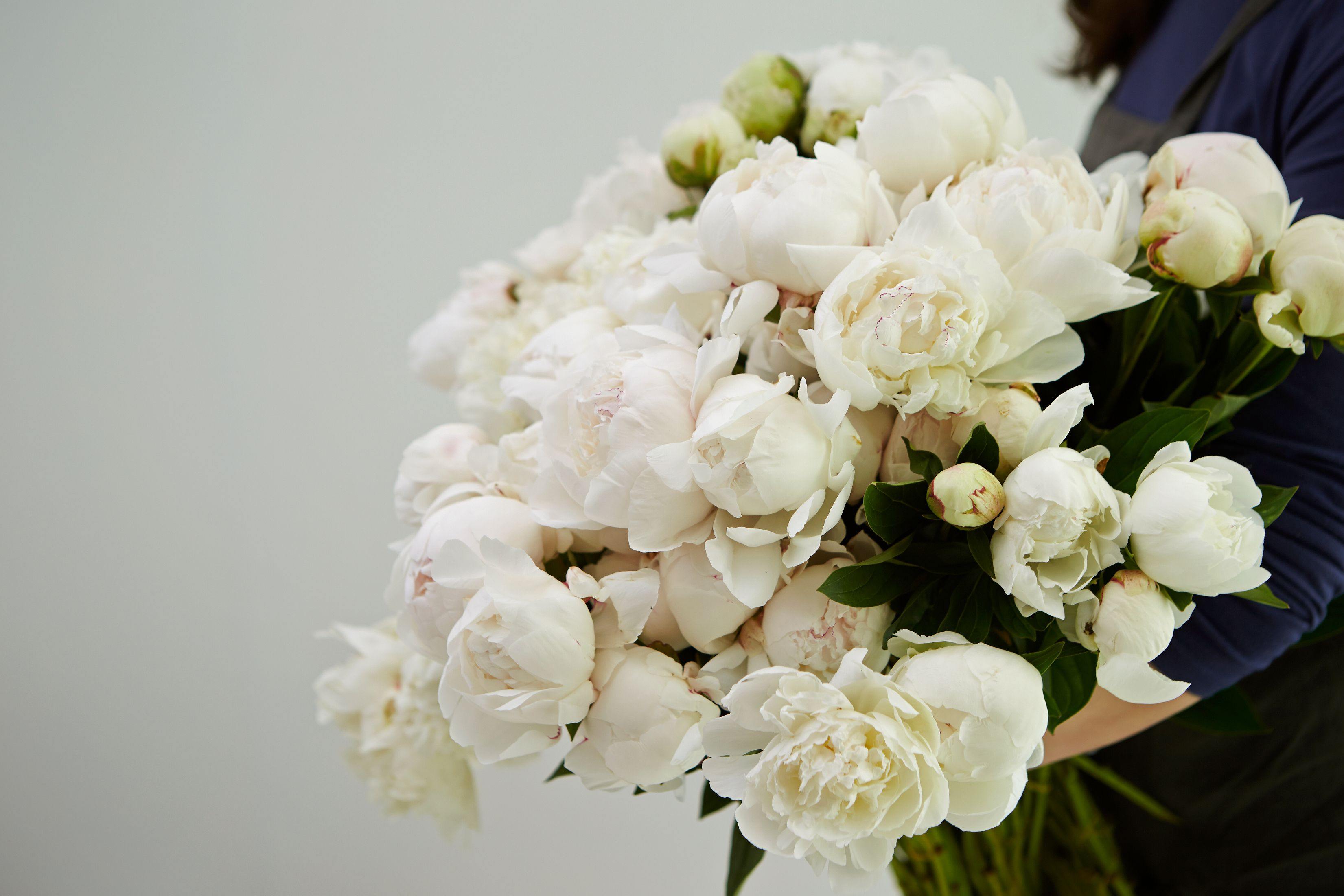 Buchete de flori albe: semnificatie si idei de buchete potrivite pentru diverse ocazii - = California Flowers, Bucuresti si Brasov