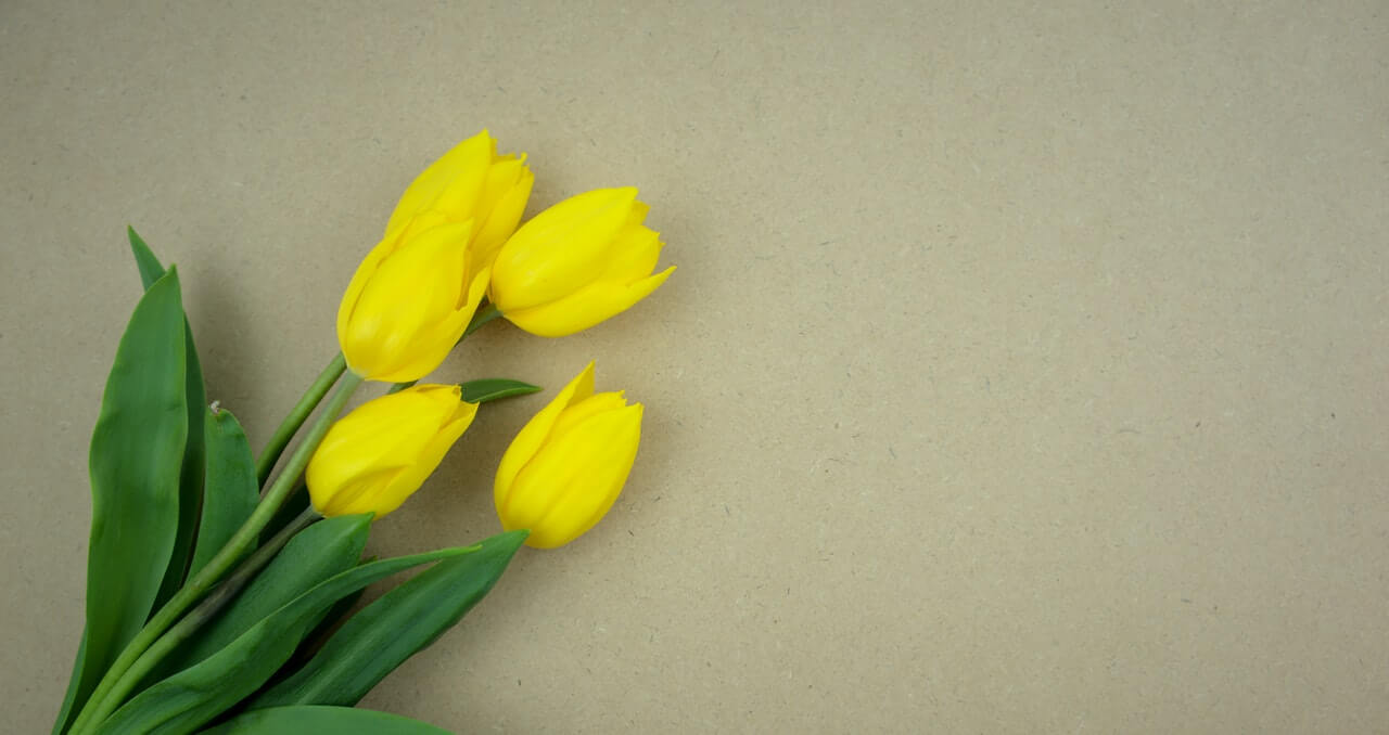 Buchete de flori galbene - ce semnifica acestea si cateva idei de aranjamente deosebite