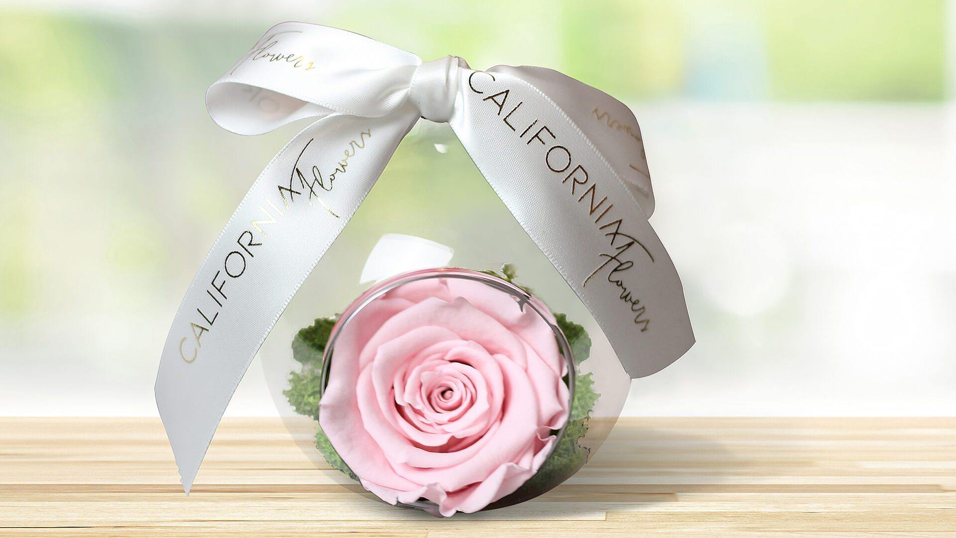 Glob trandafiri criogenati = California Flowers, Bucuresti si Brasov