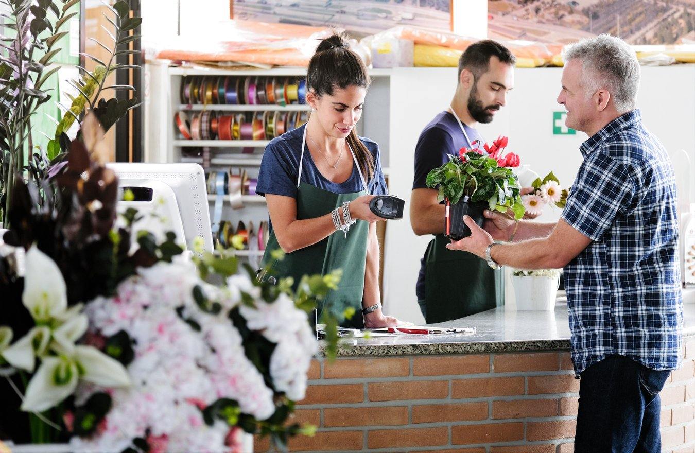 Plante = California Flowers, Bucuresti si Brasov