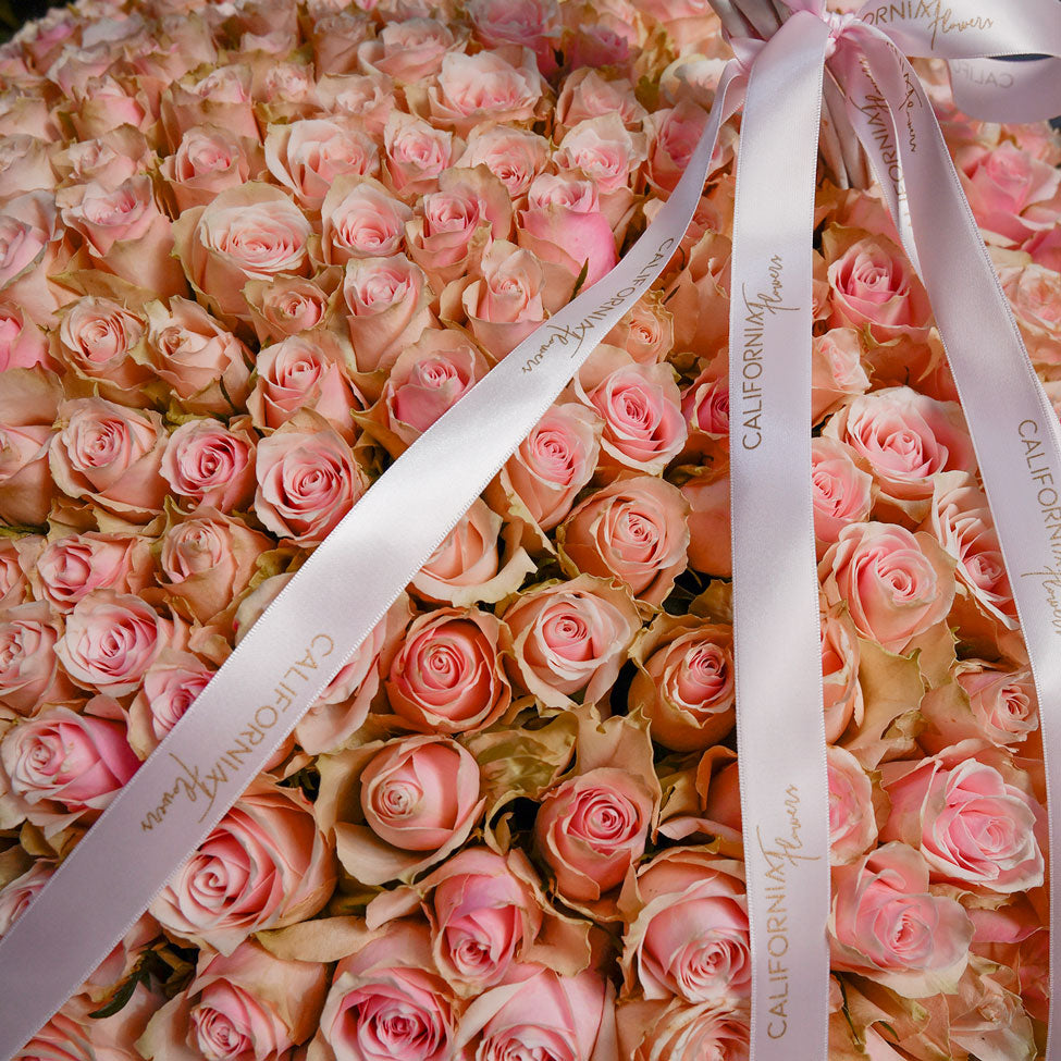 Cu ce se sterg frunzele la flori si cum sa le mentii sanatoase?, Aranjament floral in cos cu 400 trandafiri roz, Californiaflowers.ro
