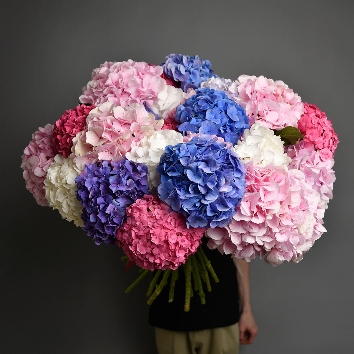Flori pentru mama - California Flowers, Buchet 27 hortensii multicolore, Californiaflowers.ro