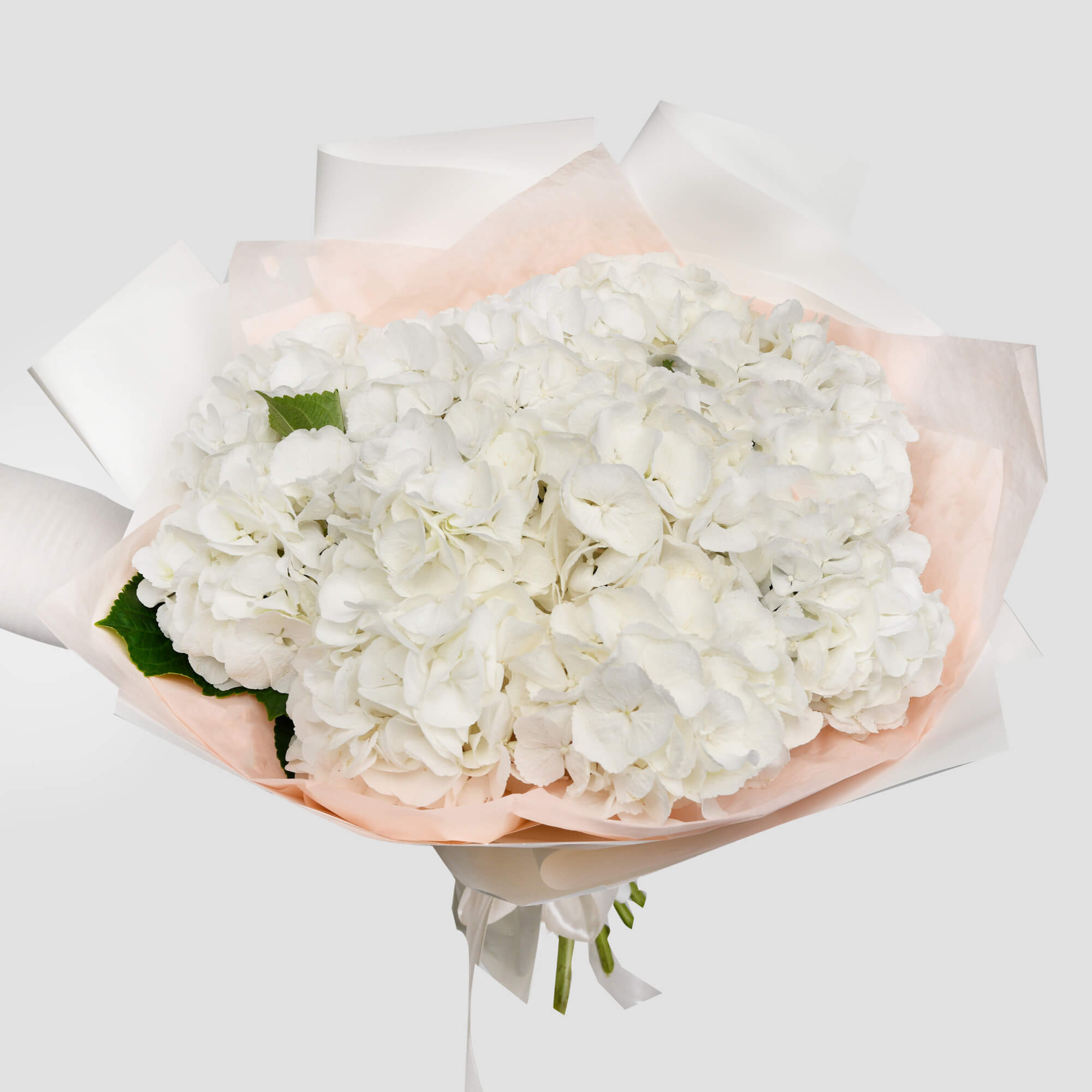 Flori pentru mama - California Flowers, Buchet 11 hortensii albe, Californiaflowers.ro