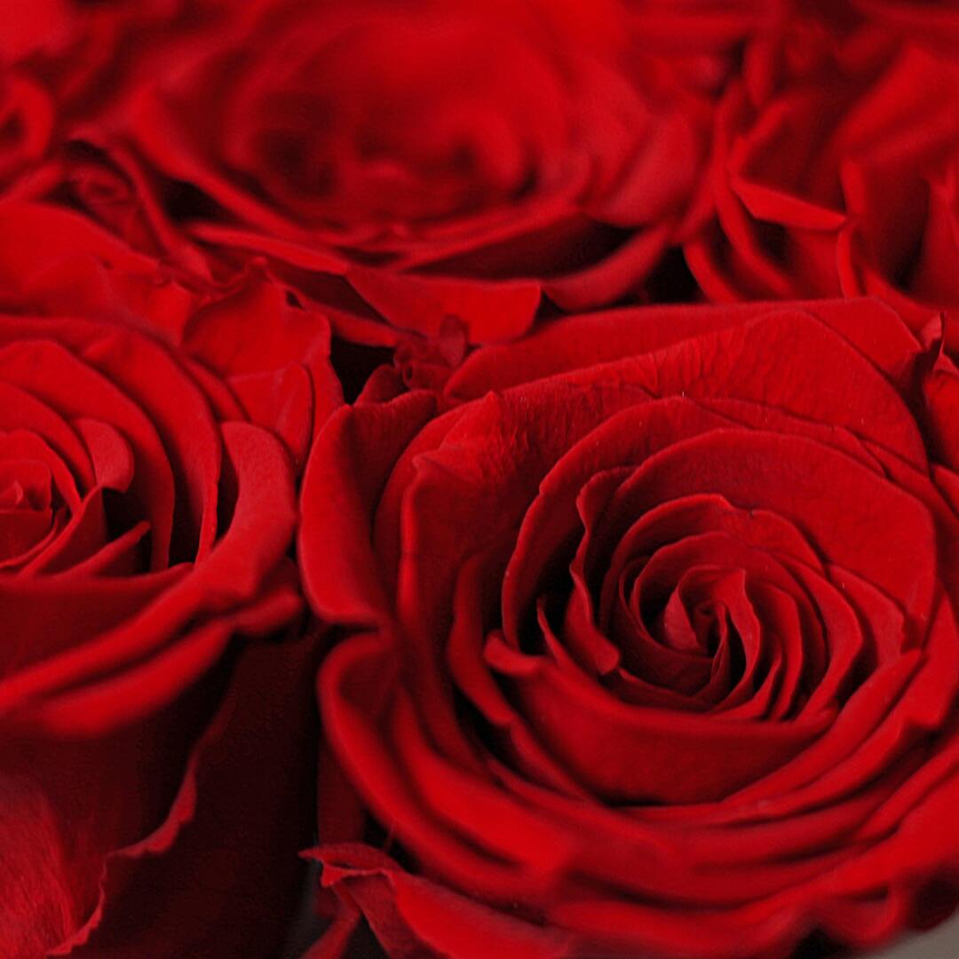 Cutie neagra 7 trandafiri criogenati rosii, 3, Californiaflowers.ro