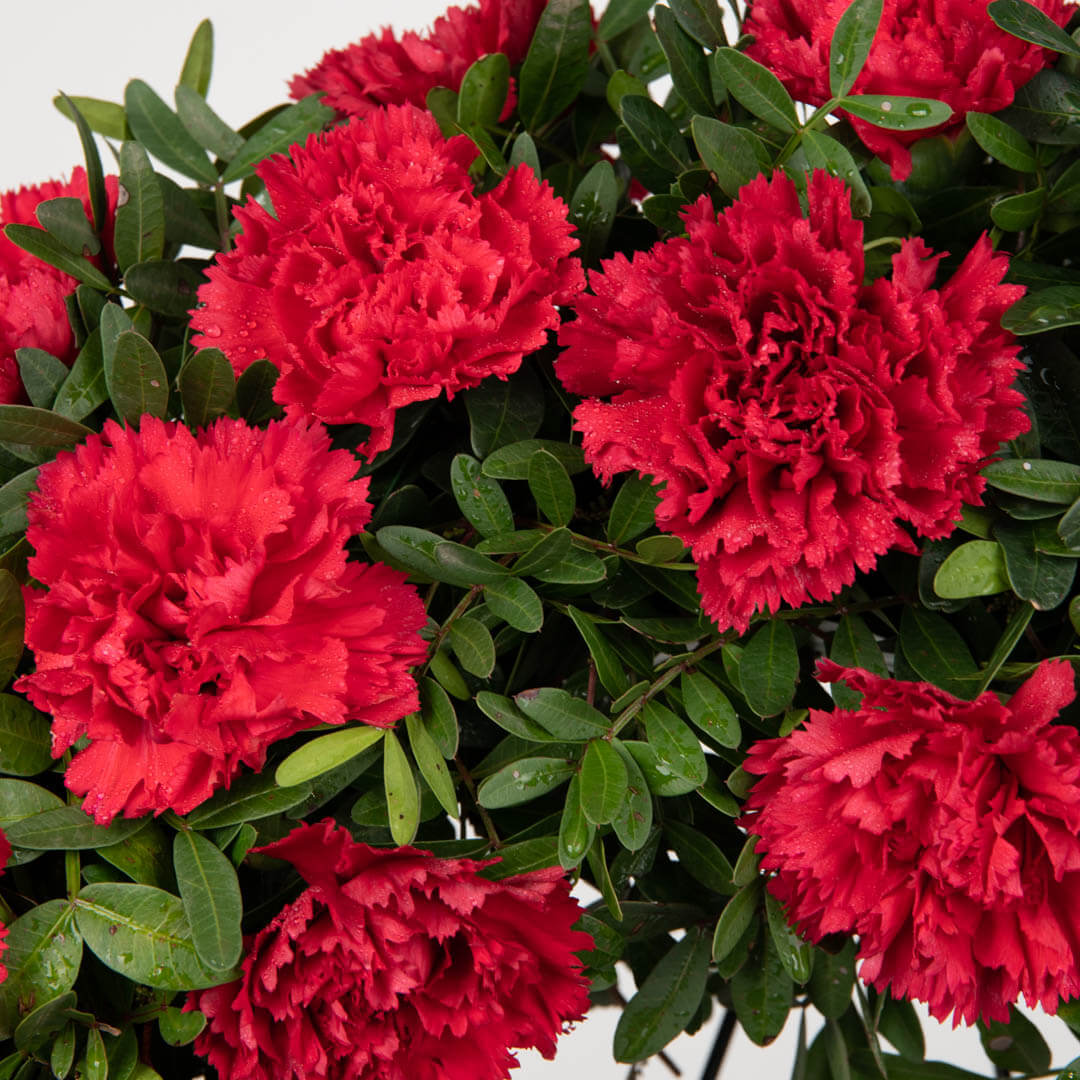 Coroana de flori rotunda cu garoafe rosii