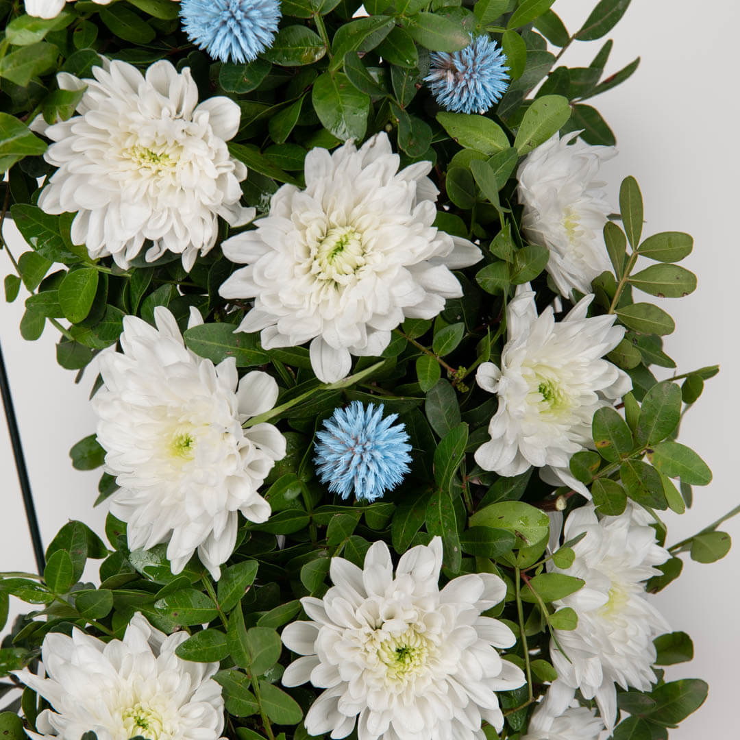 Coroane funerare, Coroana de flori rotunda cu crizanteme si aspidistra, Californiaflowers.ro