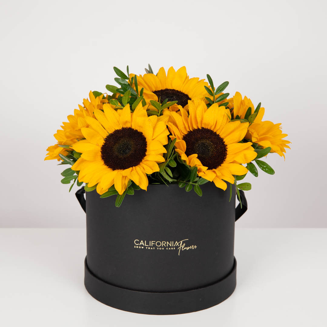 Livrare Flori Cluj Napoca, Aranjament floral in cutie neagra cu floarea soarelui, Californiaflowers.ro
