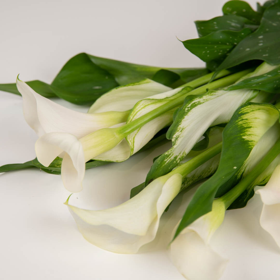 Coroane funerare, Aranjament floral funerar cu cale, Californiaflowers.ro