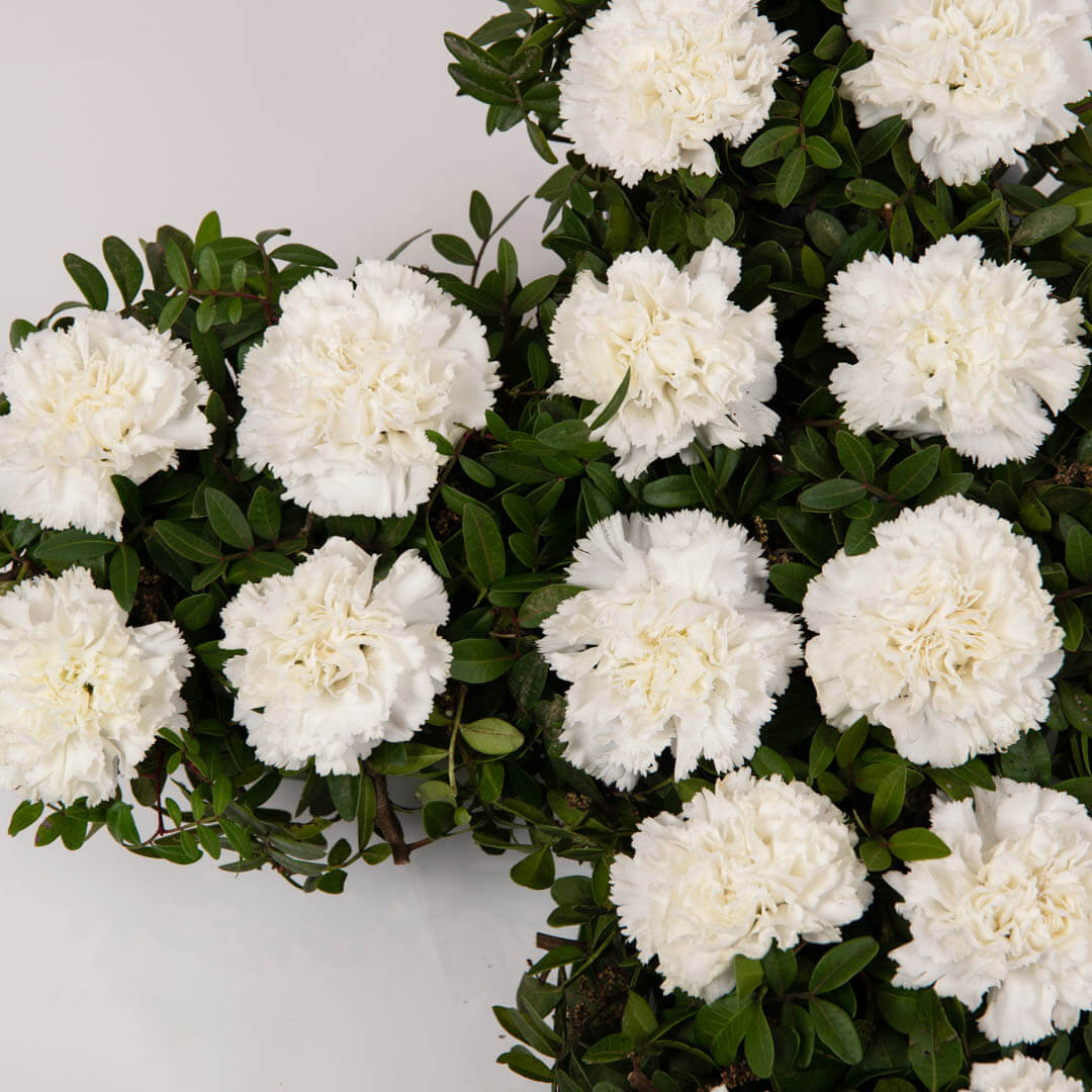 Coroane funerare, Cruce funerara cruce cu garoafe albe, Californiaflowers.ro