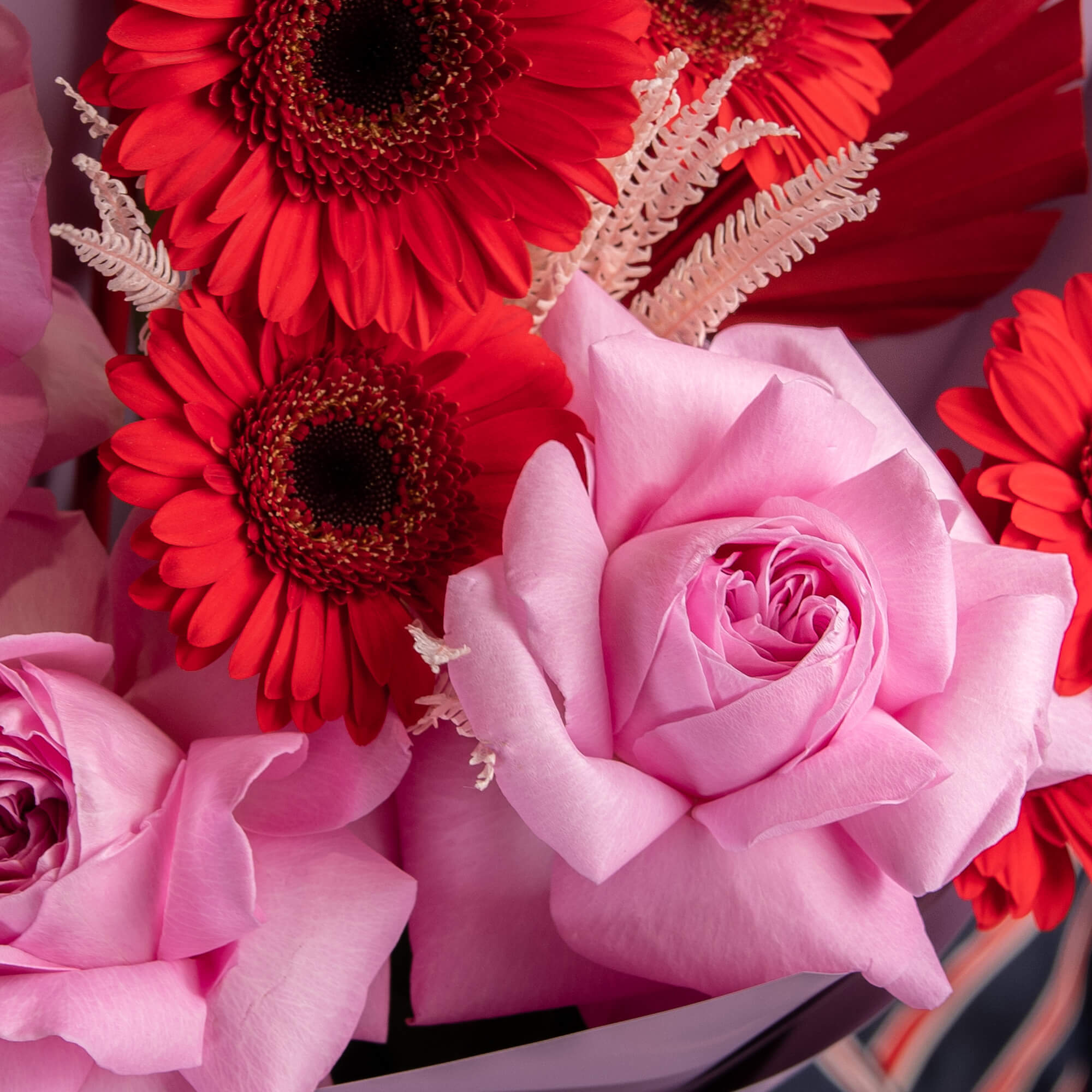 Buchet cu trandafiri roz si gerbera, 3, Californiaflowers.ro