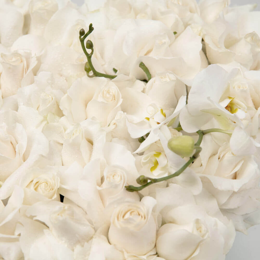 Coroana funerara inima cu phaleonopsis si trandafiri albi, 2
