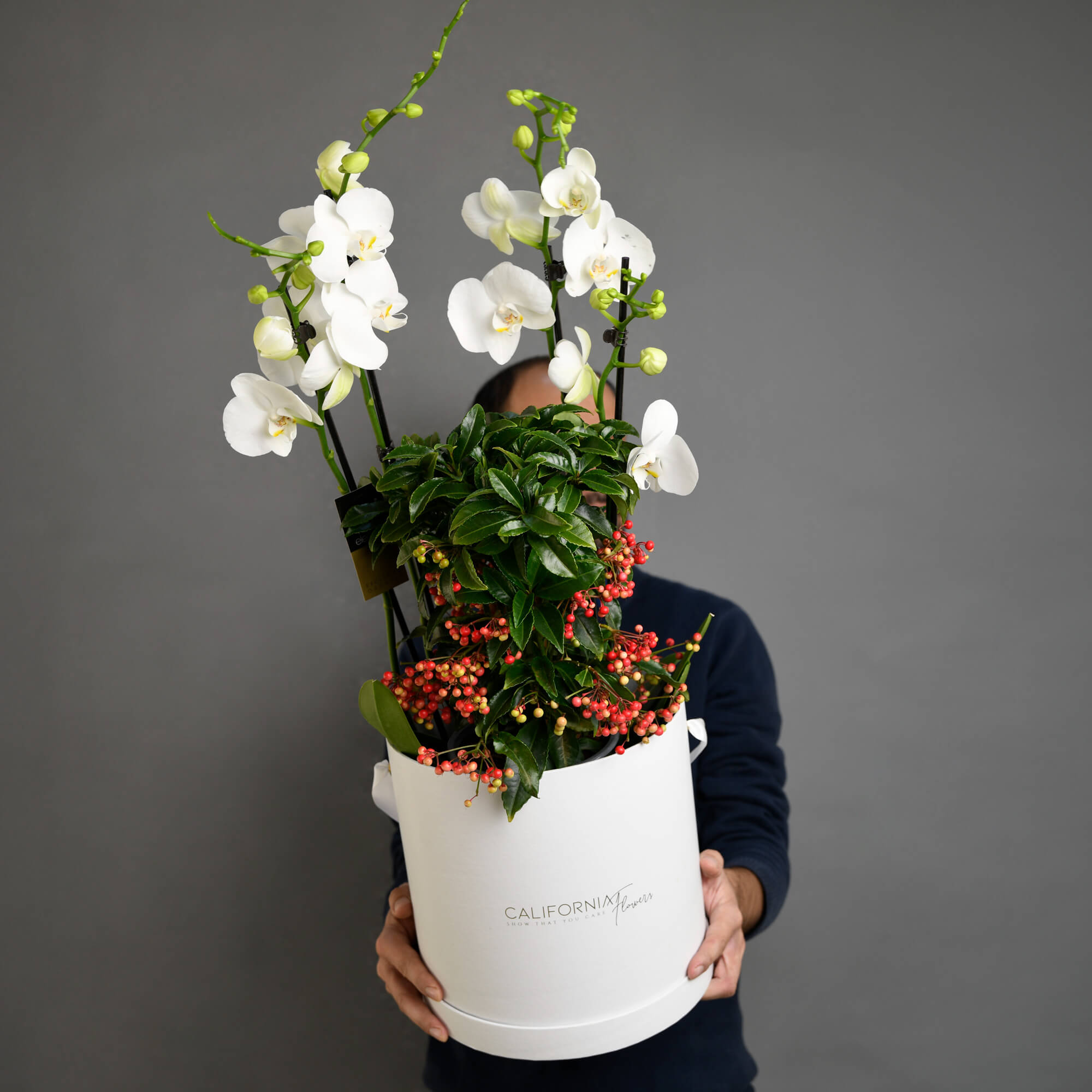 Plante, Aranjament cu Orhidee Phalaenopsis si Ardisia, Californiaflowers.ro