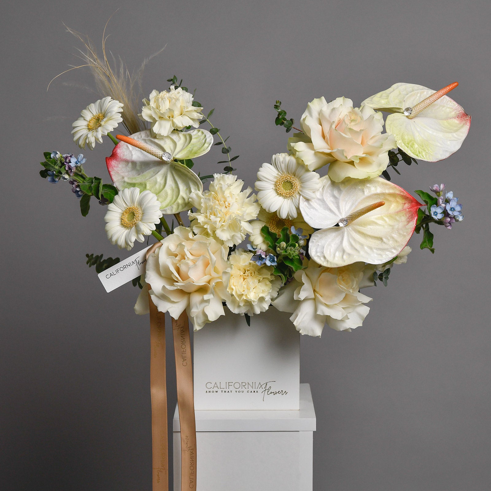 Aranjament floral in cutie cu anthurium, dianthus si gerbera, 3, Californiaflowers.ro