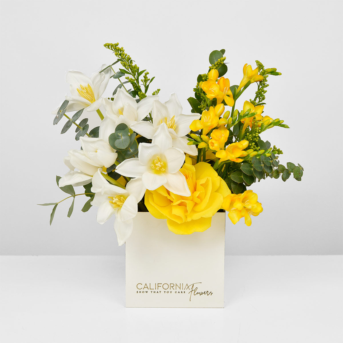 Livrare flori Bucuresti - California Flowers, Aranjament floral in cutie cu lalele si frezii galbene, Californiaflowers.ro
