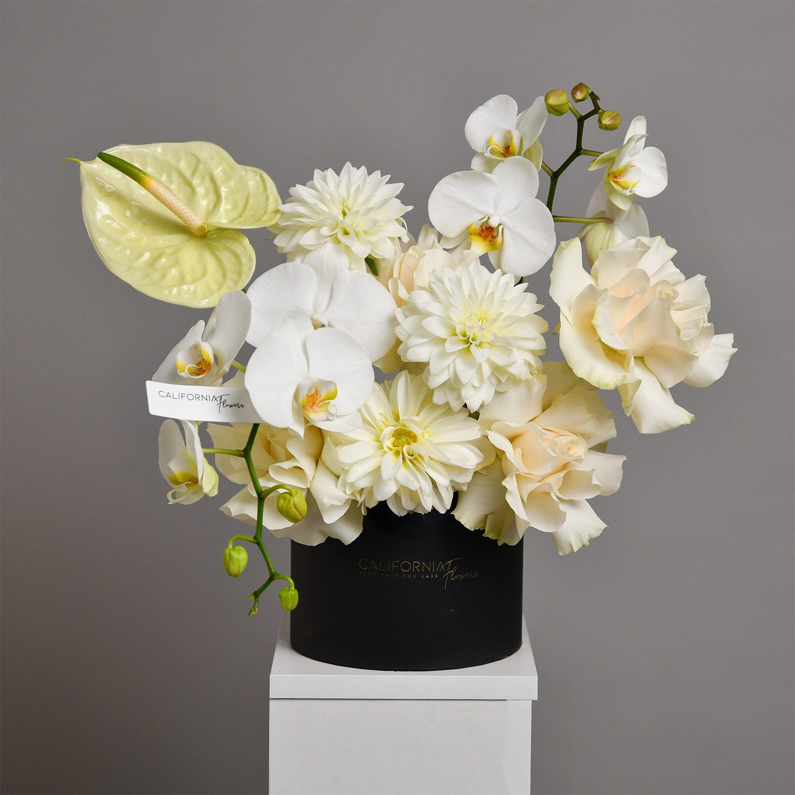 Aranjament floral in cutie cu orhidee phalaenopsis si anthurium, 3, Californiaflowers.ro