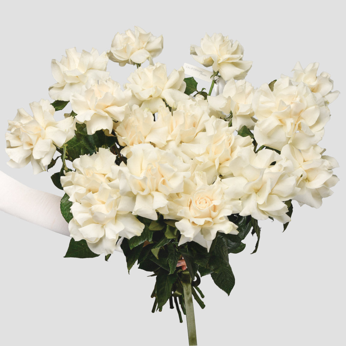 Buchete de flori - California Flowers, Buchet 25 trandafiri speciali albi, Californiaflowers.ro