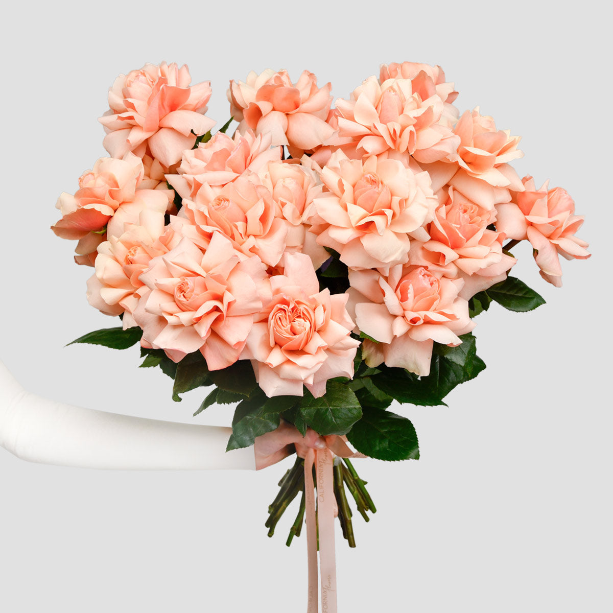 Livrare flori Bucuresti - California Flowers, Buchet 25 trandafiri speciali peach, Californiaflowers.ro