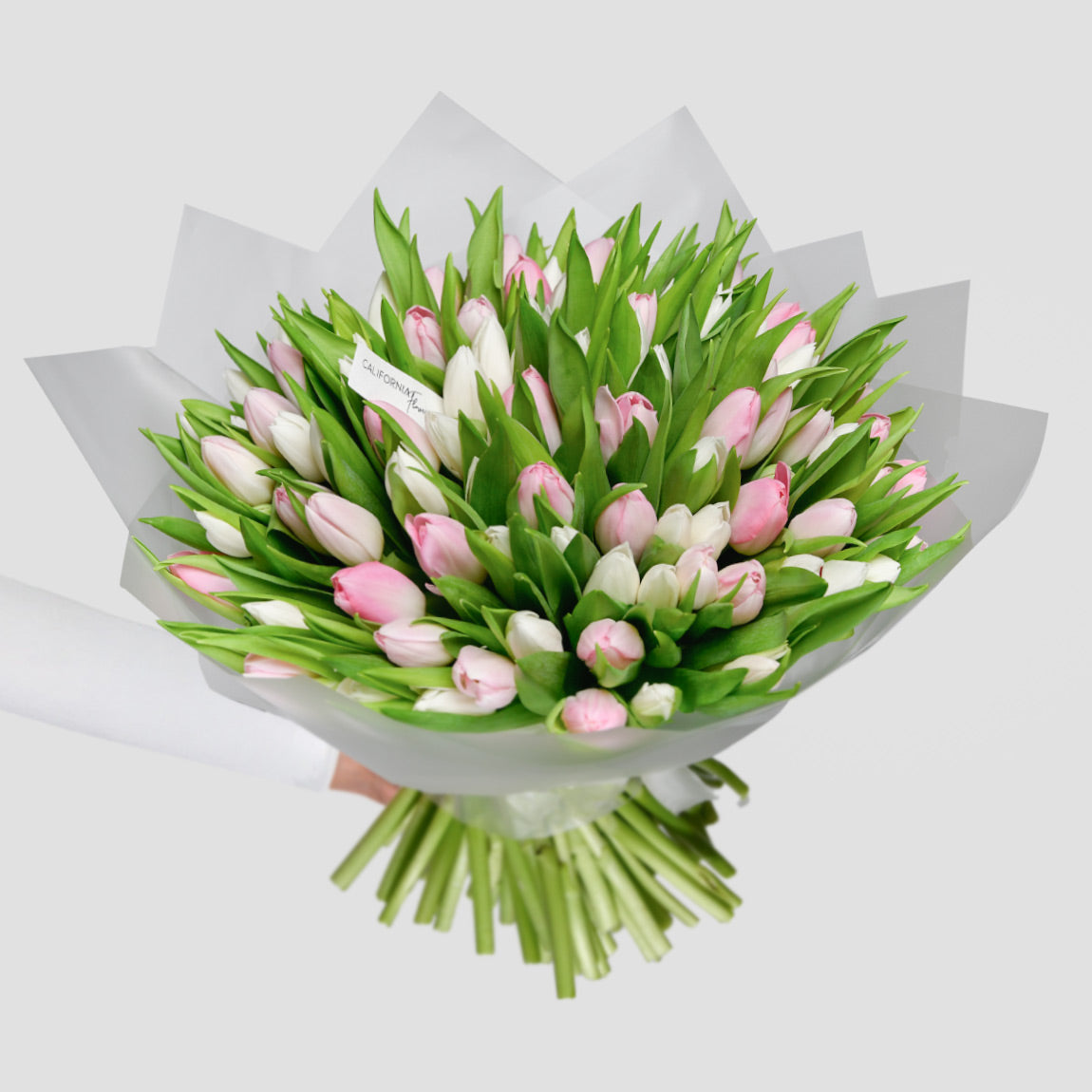 Buchete lalele - California Flowers, Buchet 99 lalele albe si roz, Californiaflowers.ro