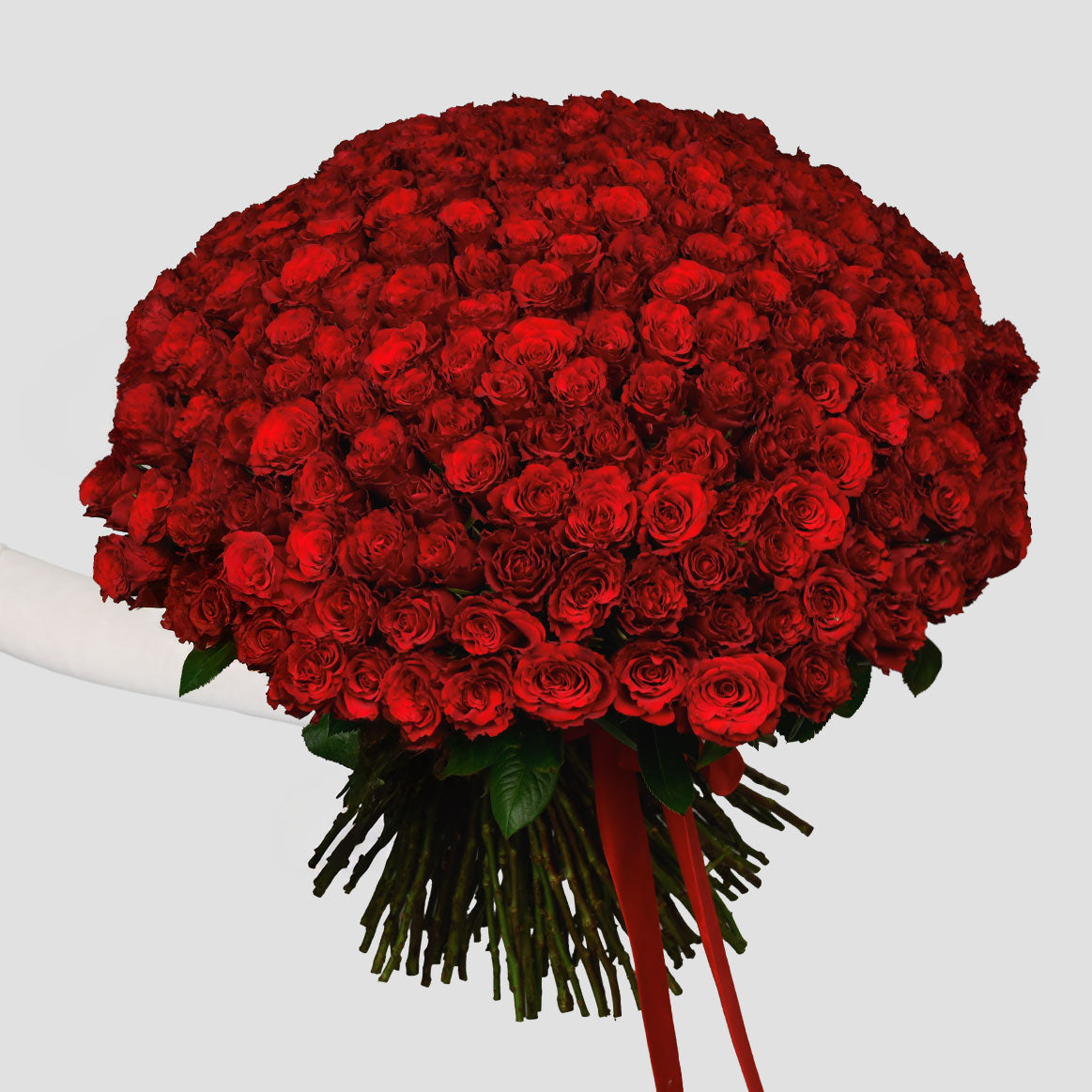 Surprises at home in Bucharest and Brasov - California Flowers, Bouquet of 201 red roses, Californiaflowers.ro