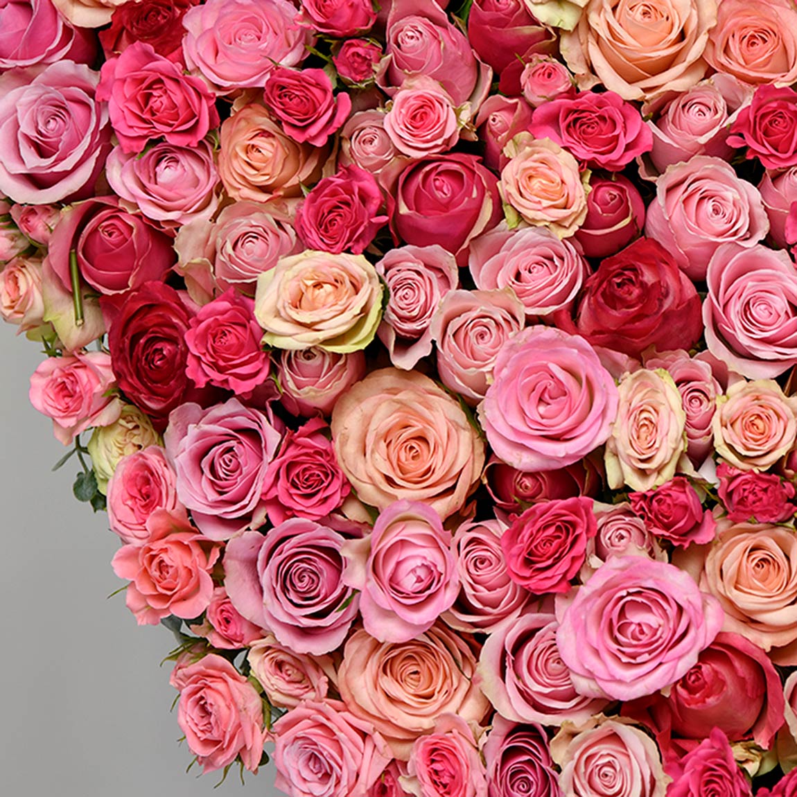 Coroane funerare, Cororna funerara Inima cu trandafiri si tros roz, Californiaflowers.ro