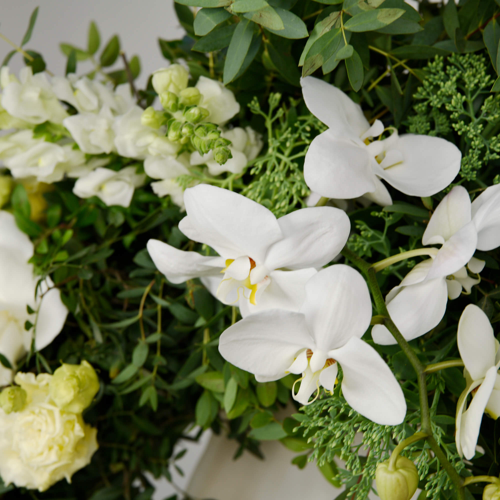 Round funeral wreath with lisianthus and phalaenopsis orchids, 2, Californiaflowers.ro