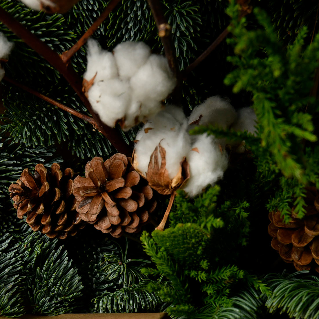 Bouquet with cotton, fir tree and cones, 3, Californiaflowers.ro