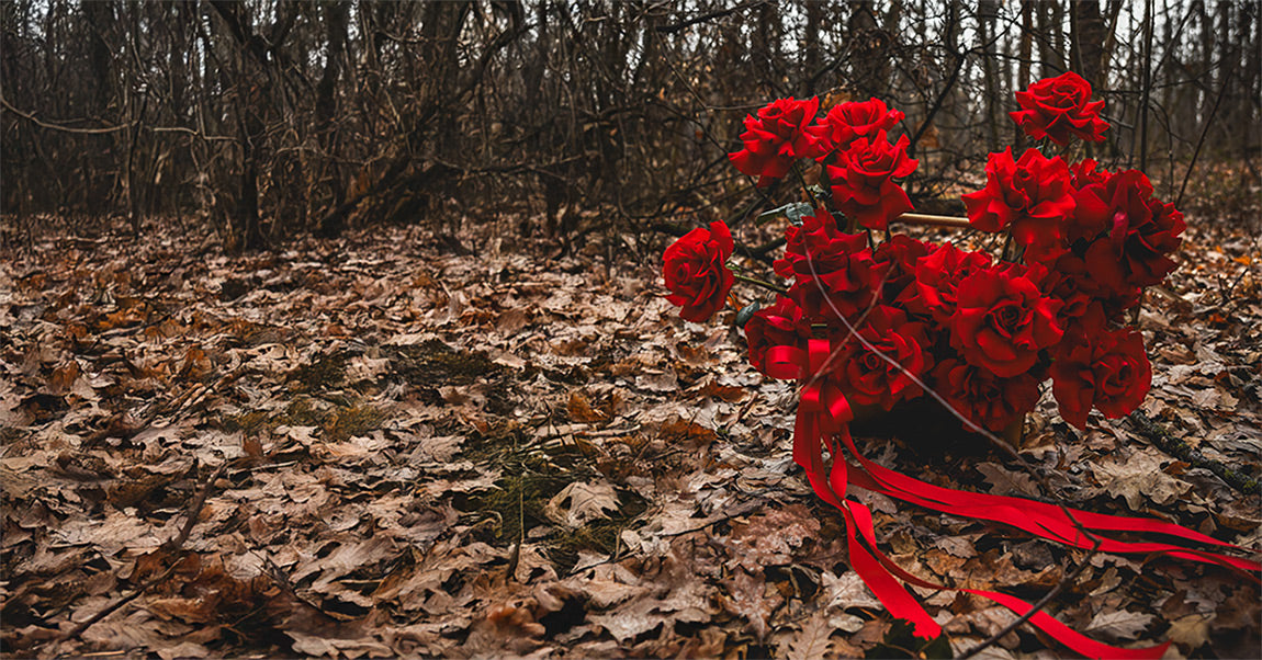 Californiaflowers.ro