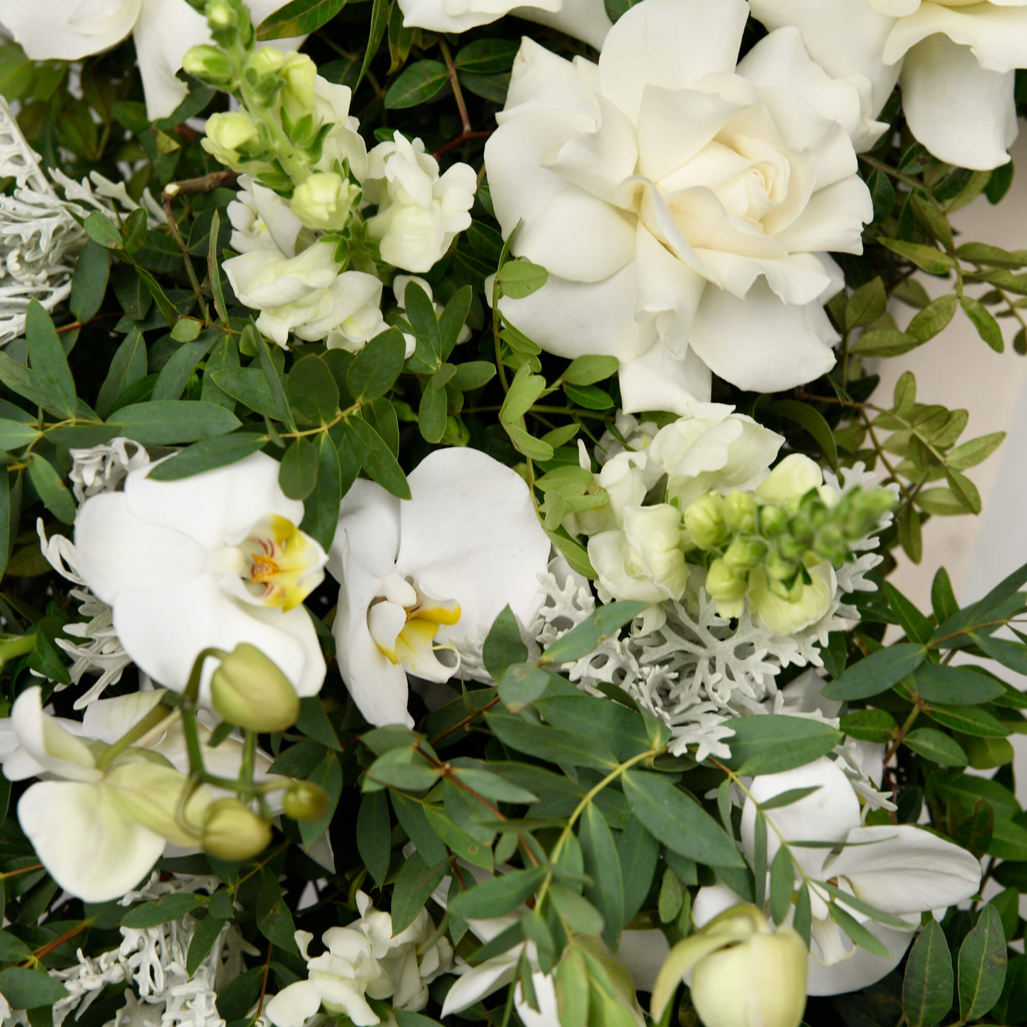 Coroana funerara cu trandafiri albi speciali si phalaenopsis