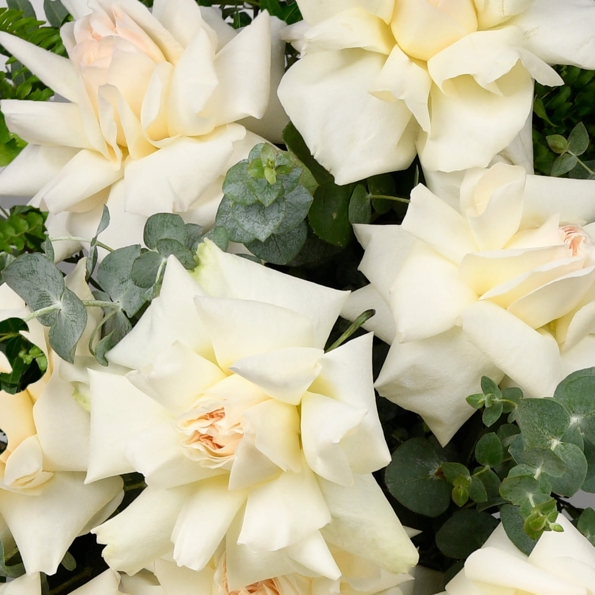 Inima funerara cu trandafiri speciali albi si eucalipt, 2