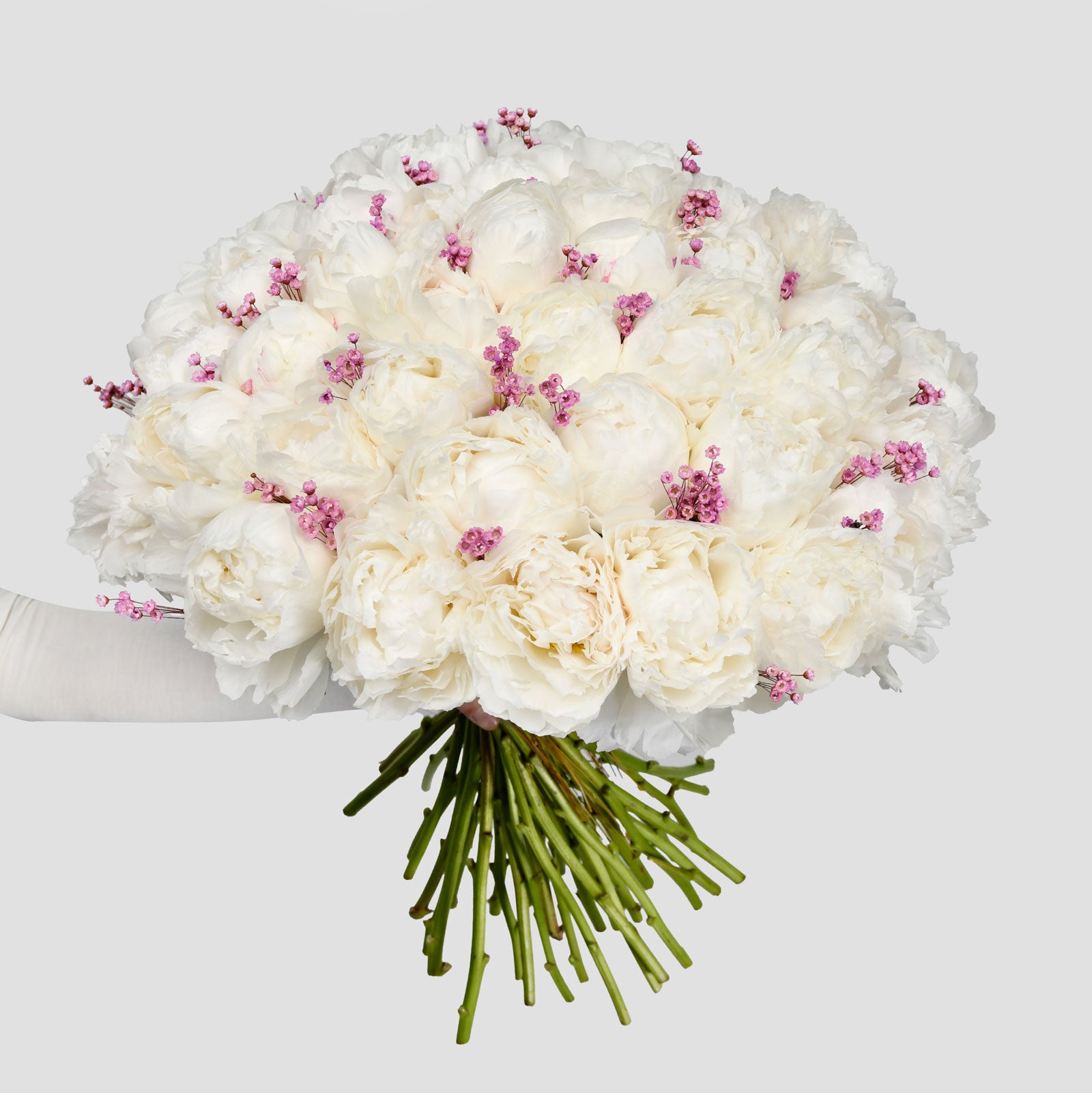 Bouquets of peonies - California Flowers, Bouquet of 45 white peonies, Californiaflowers.ro