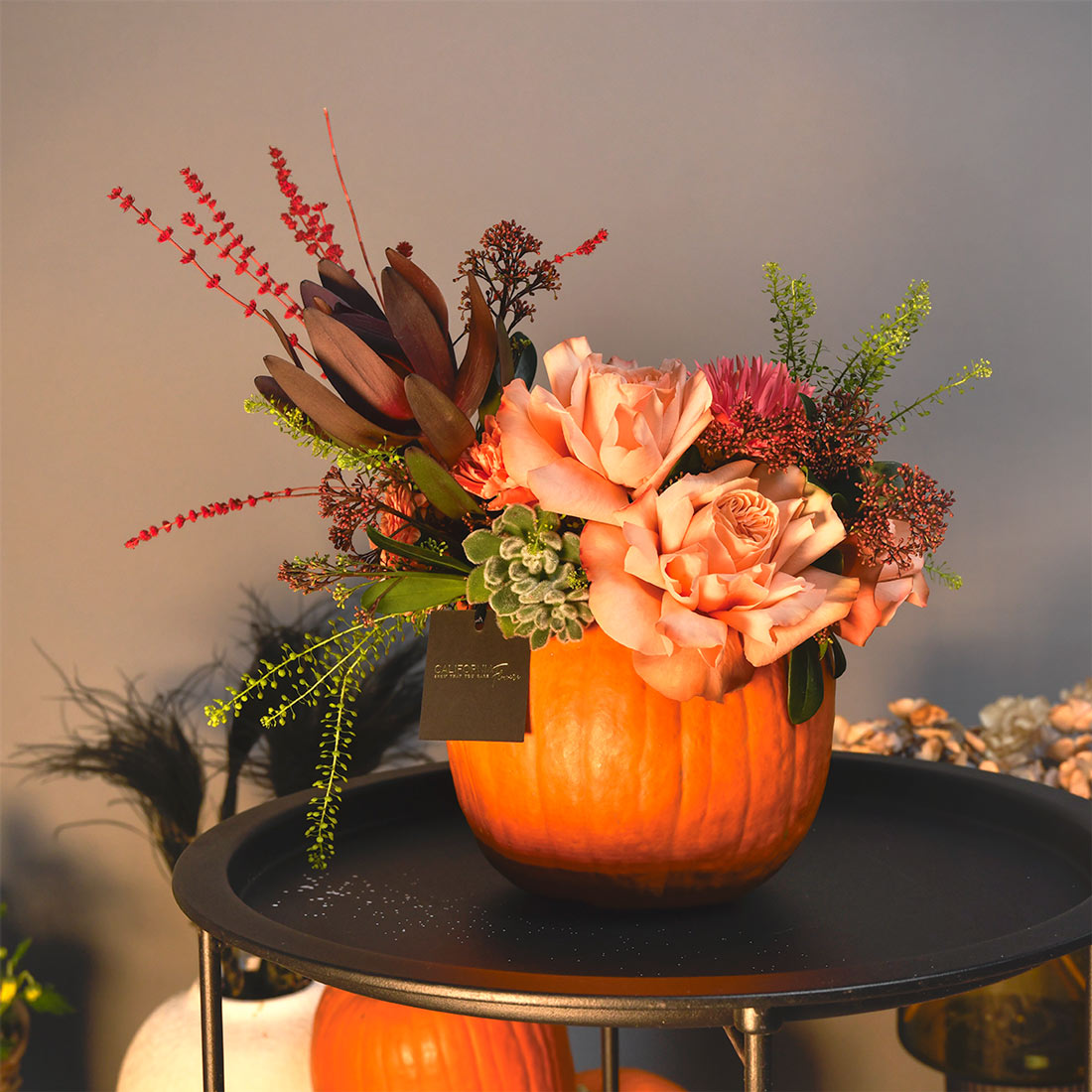 Aranjament floral in dovleac cu trandafiri speciali somon, suculent si leucadendron, 6, Californiaflowers.ro