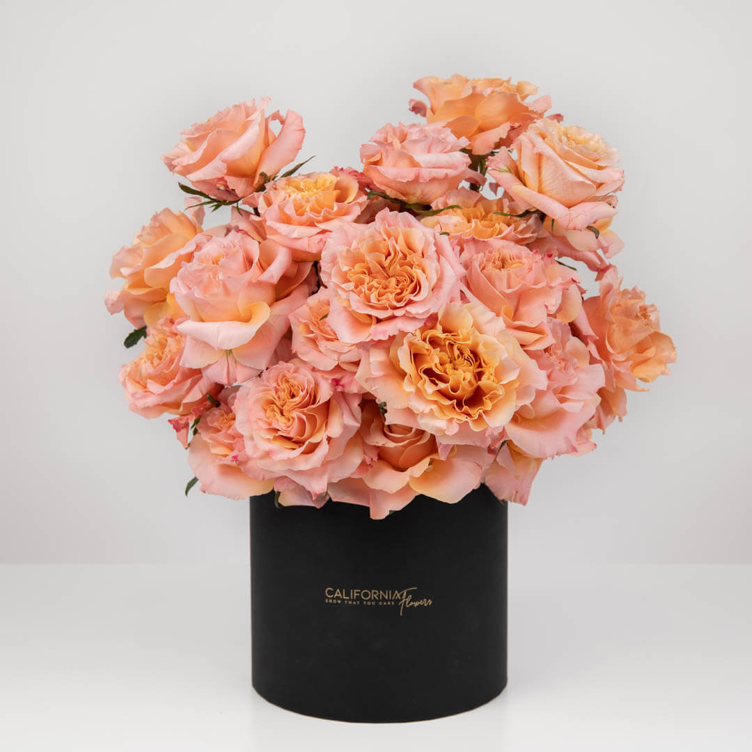Black box with 35 special roses