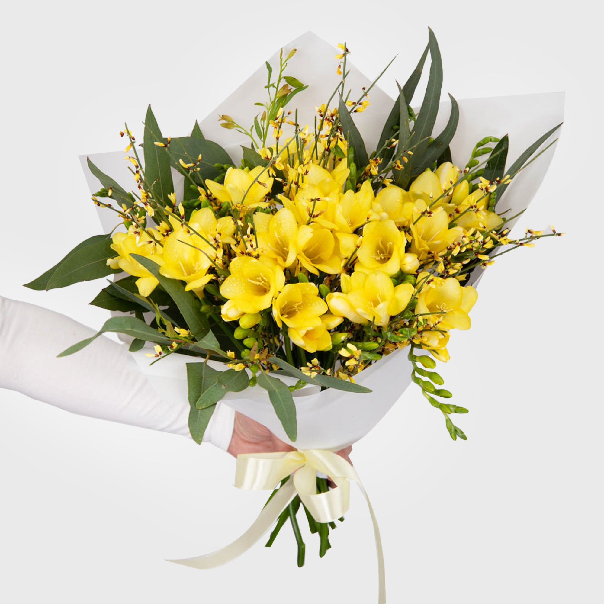 Bouquet of 15 yellow freesias