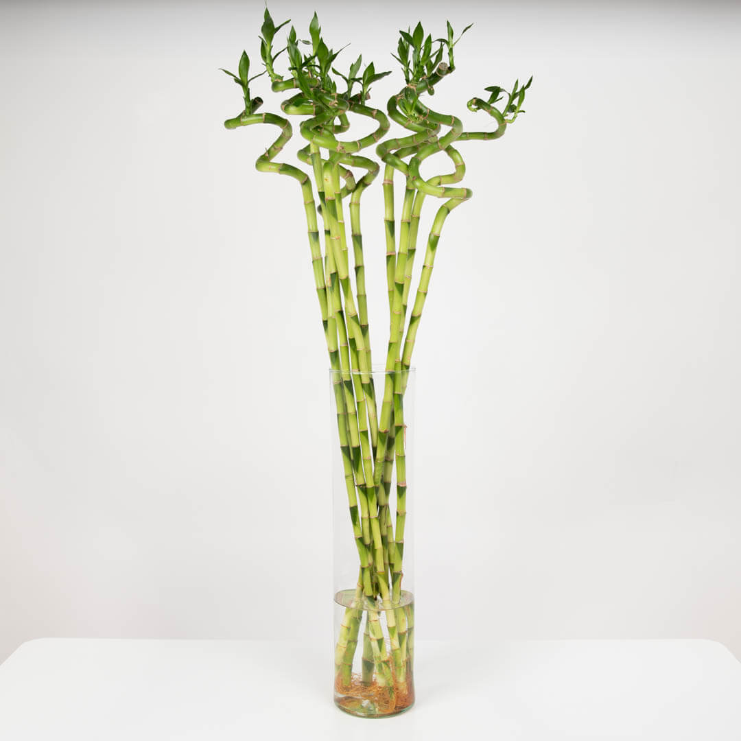 Arrangement in a vase with bamboo