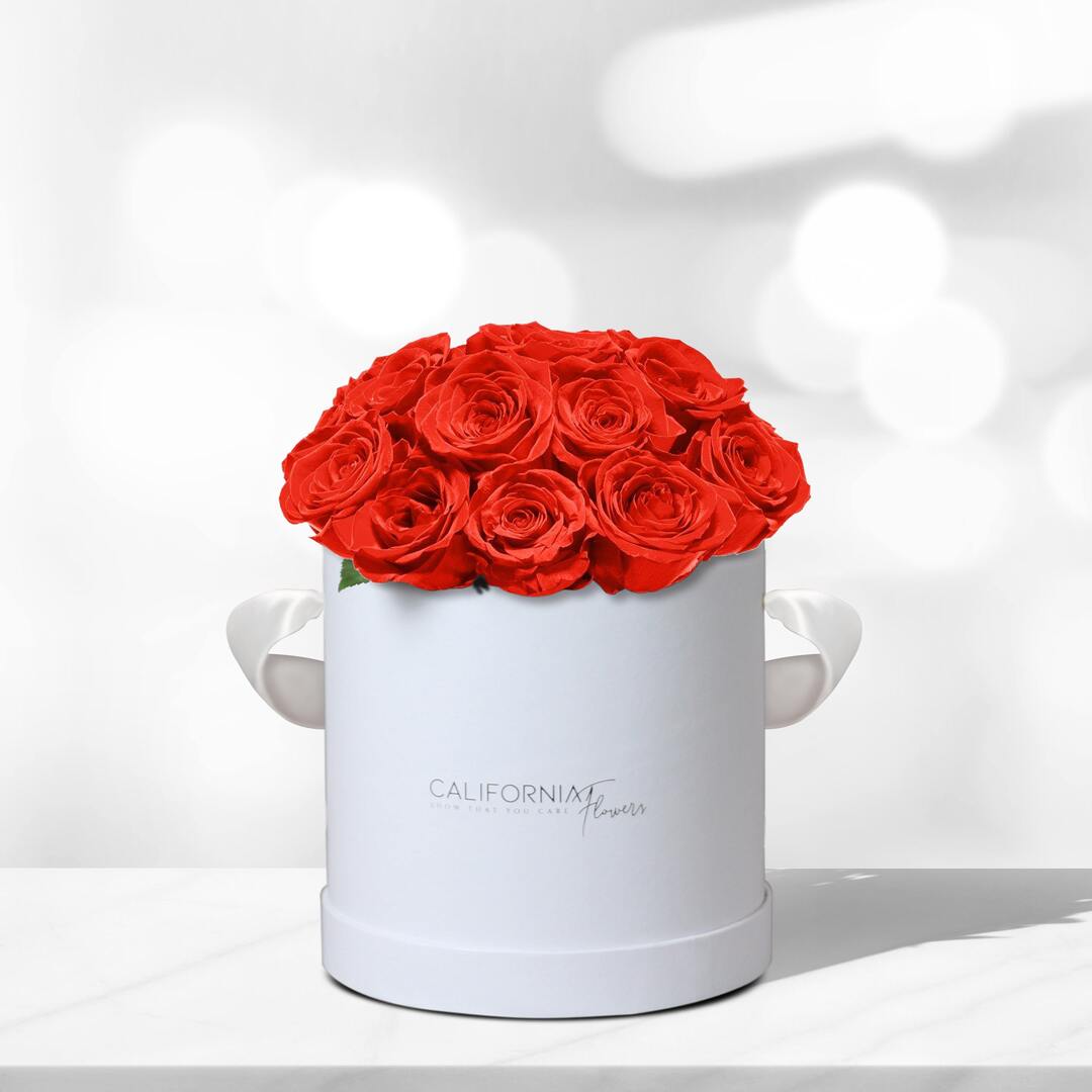 White box with 19 red roses