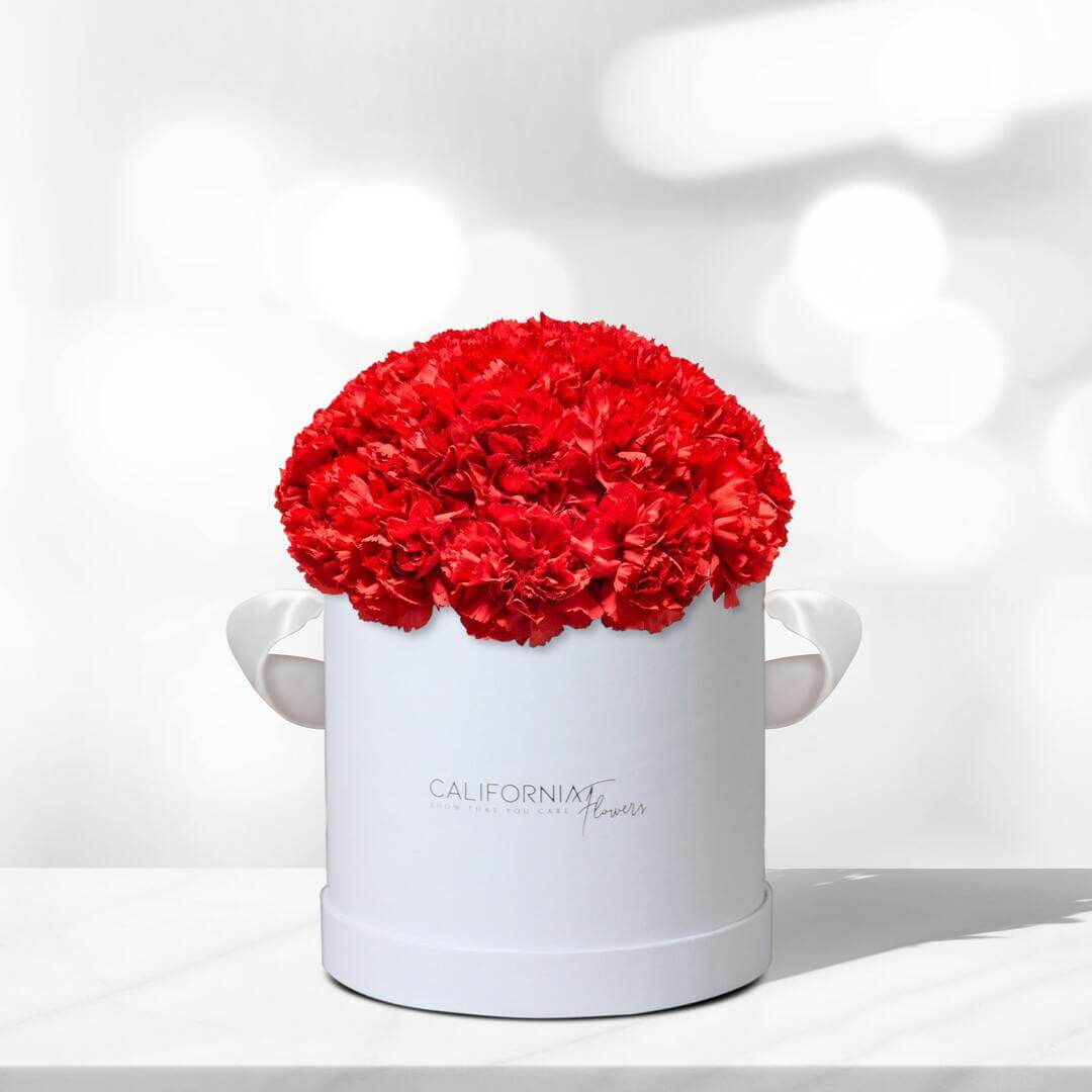 White box with 22-24 dianthus carnations