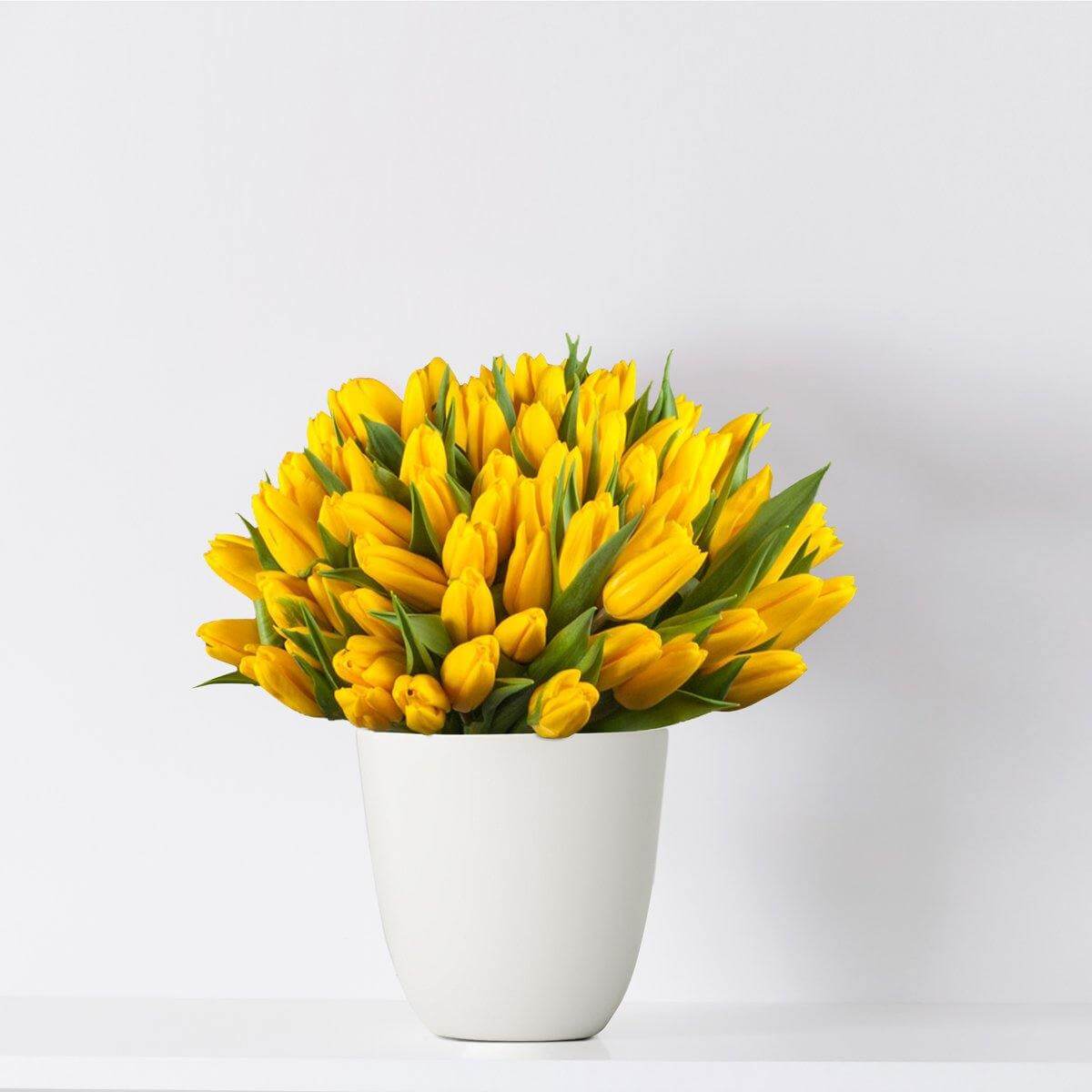 Bouquet of 65 yellow tulips