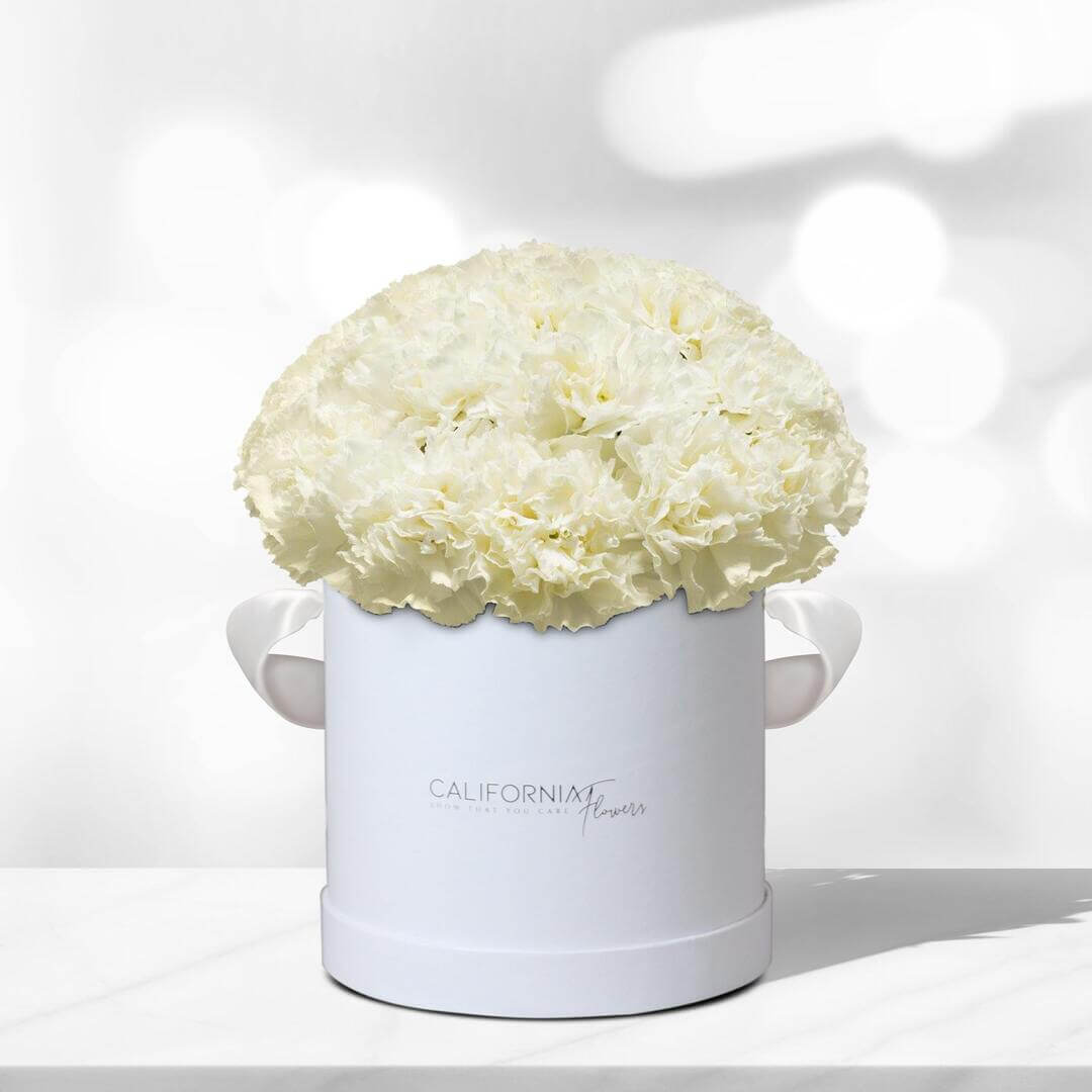 White box with 22-24 white dianthus carnations