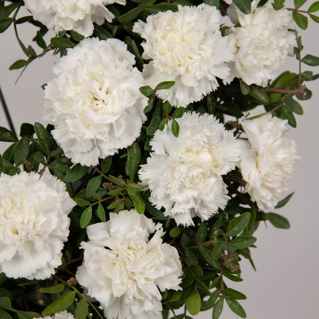 Funeral wreath with white carnations