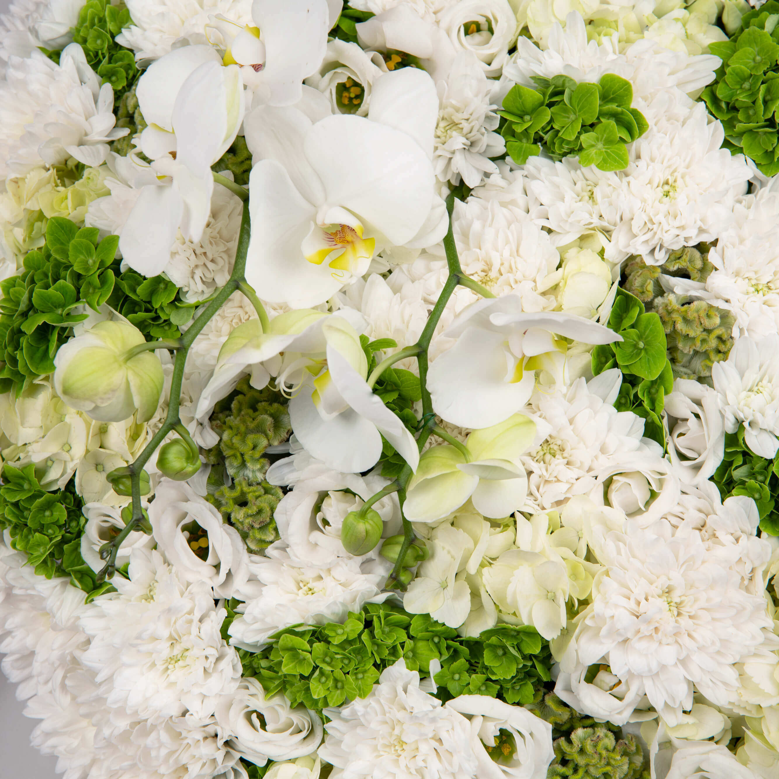 Heart funeral wreath with chrysanthemums and phalaenopsis orchids, 2, Californiaflowers.ro
