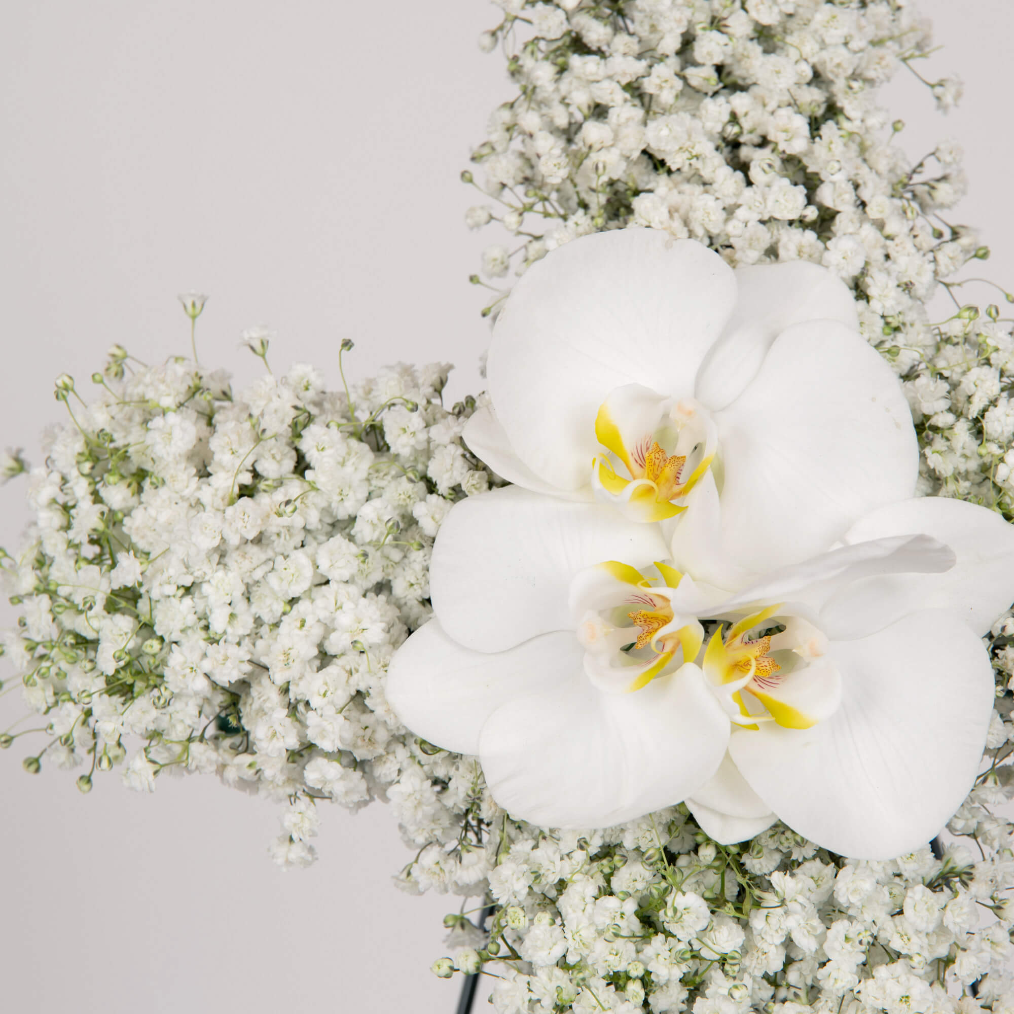 Cruce funerara rotunda cu gypsophila si orhidee phalaenopsis, 2, Californiaflowers.ro