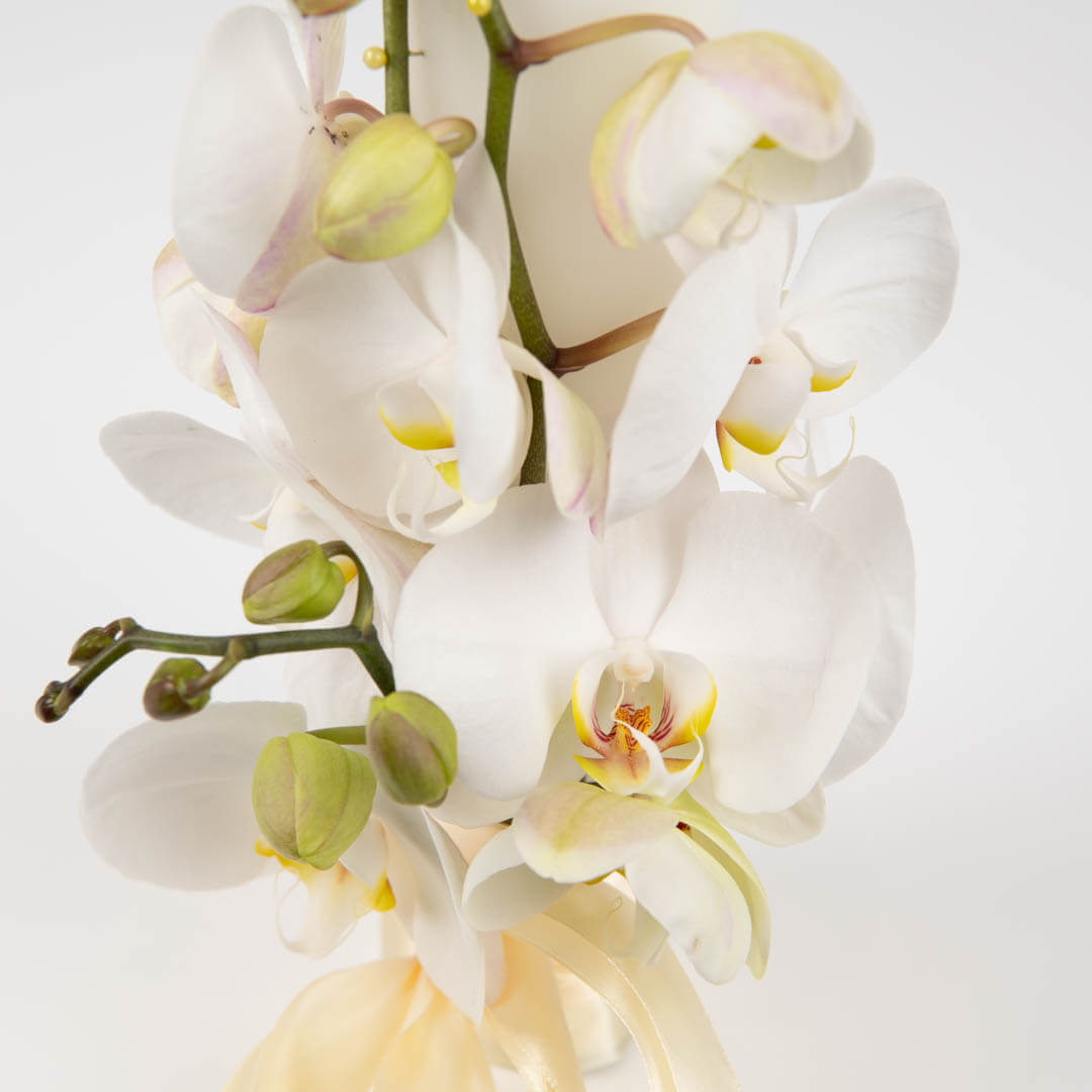 Lumanari nunta flori naturale - California Flowers, Lumanari de cununie cu orhidee Phalaenopsis, Californiaflowers.ro