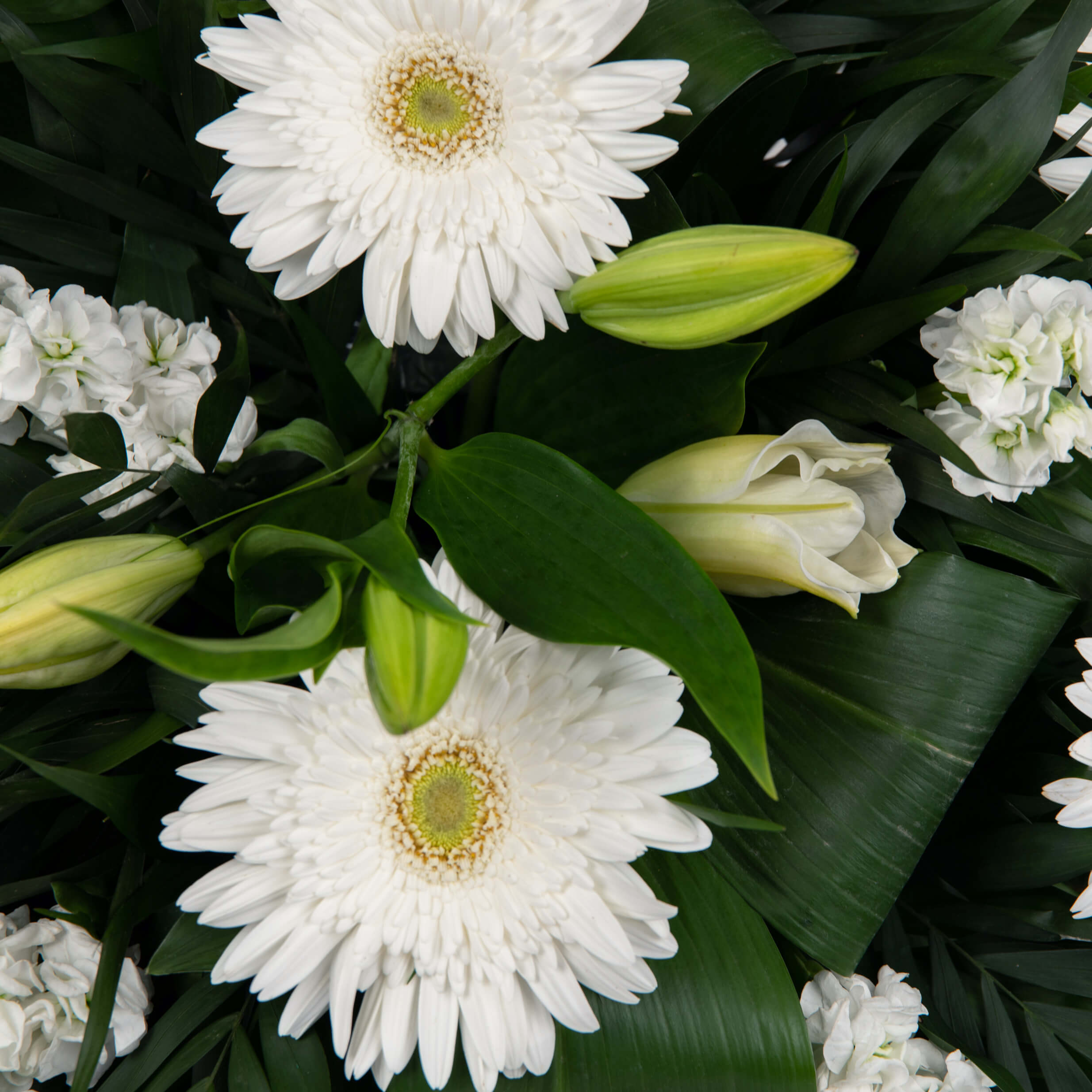 Aranjament floral funerar cu gerbera si crin, 2