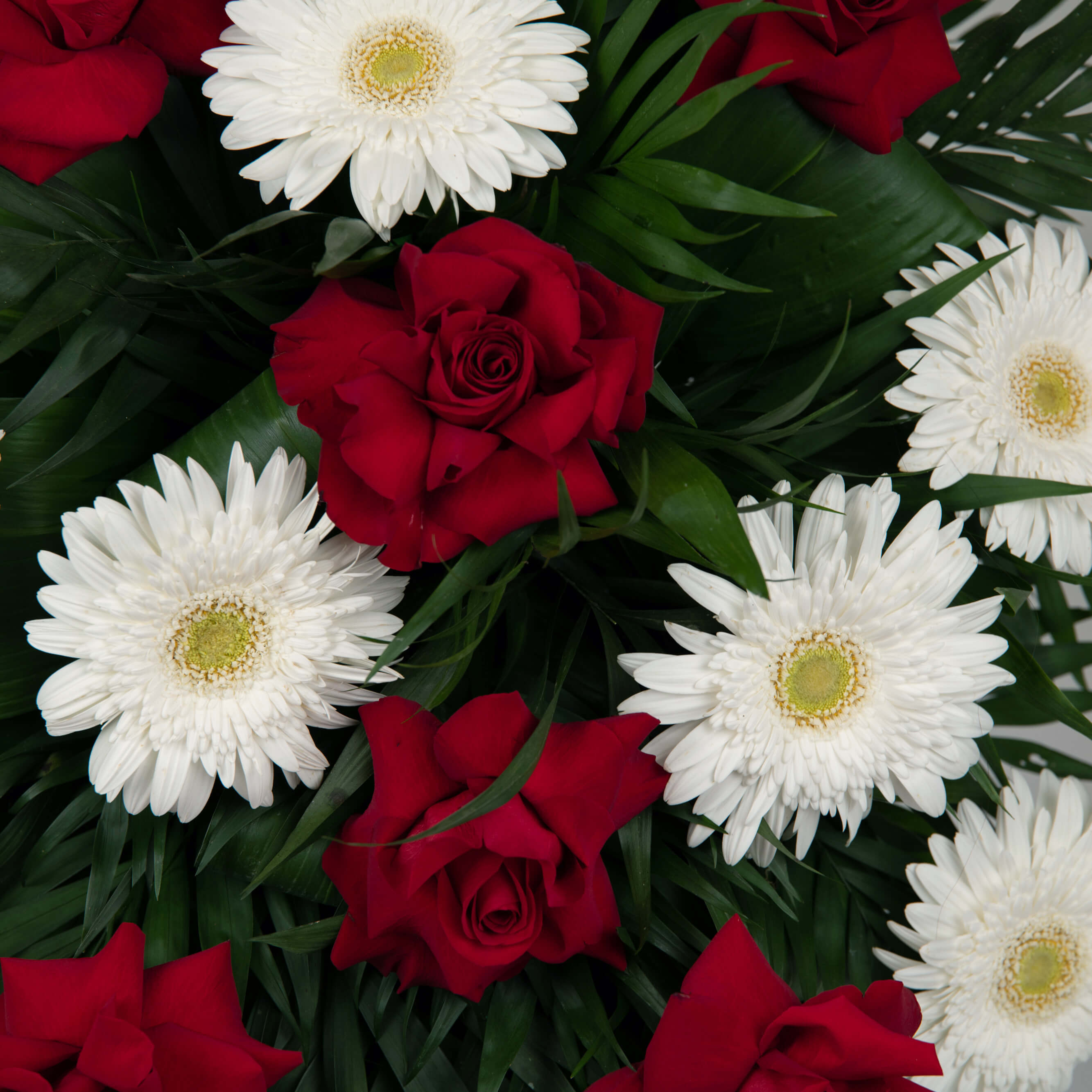 Aranjament floral funerar cu gerbera si trandafiri rosii, 2