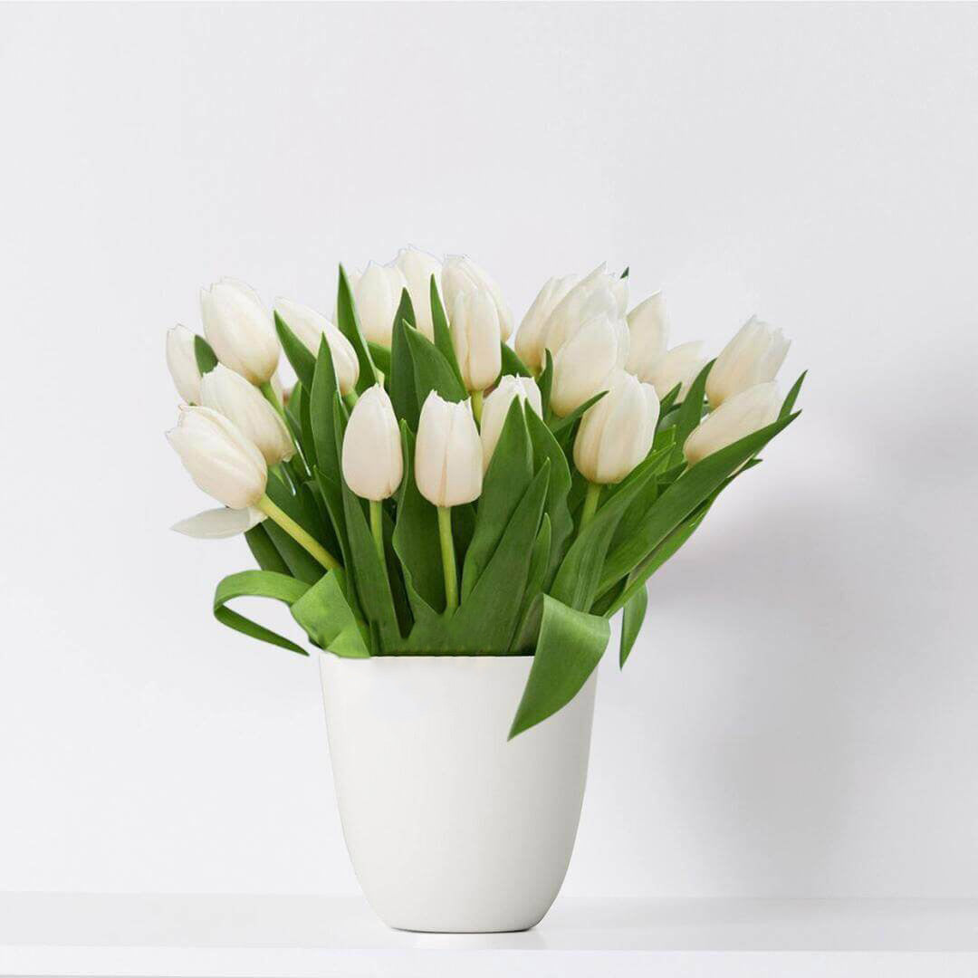 Bouquet of 21 white tulips