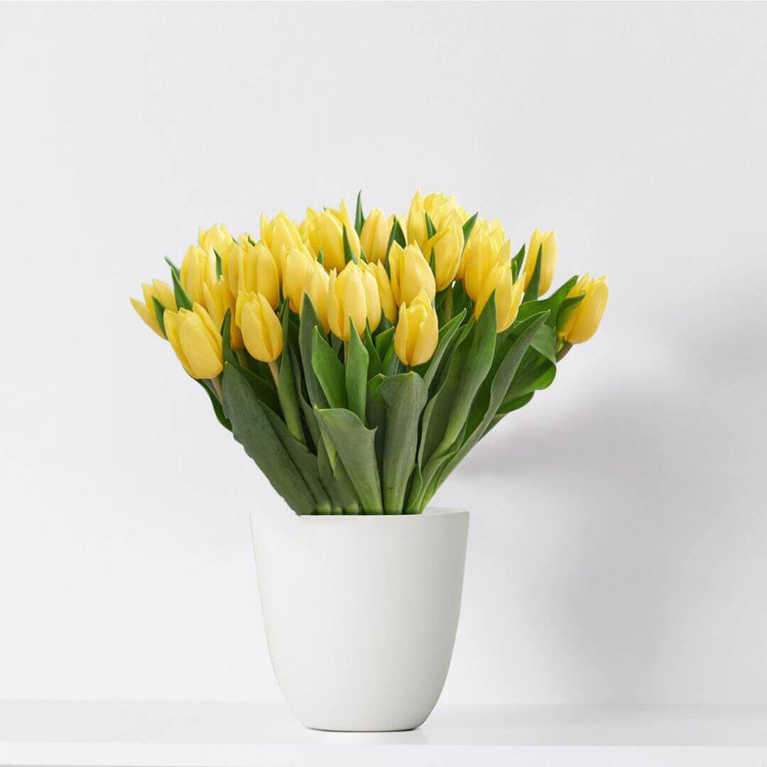 Bouquet of 23 yellow tulips