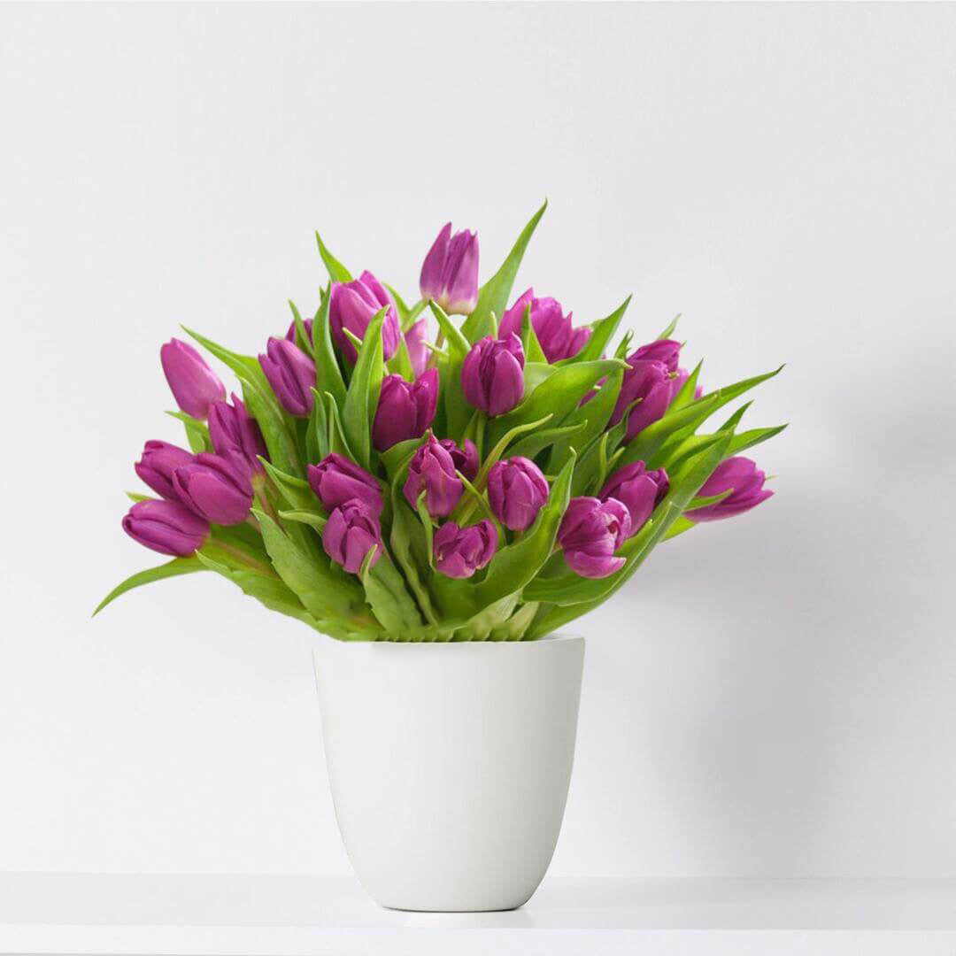 Bouquet of 29 purple tulips