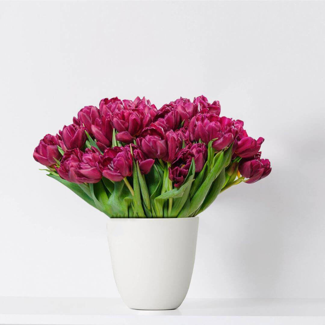 Bouquet of 49 pink tulips