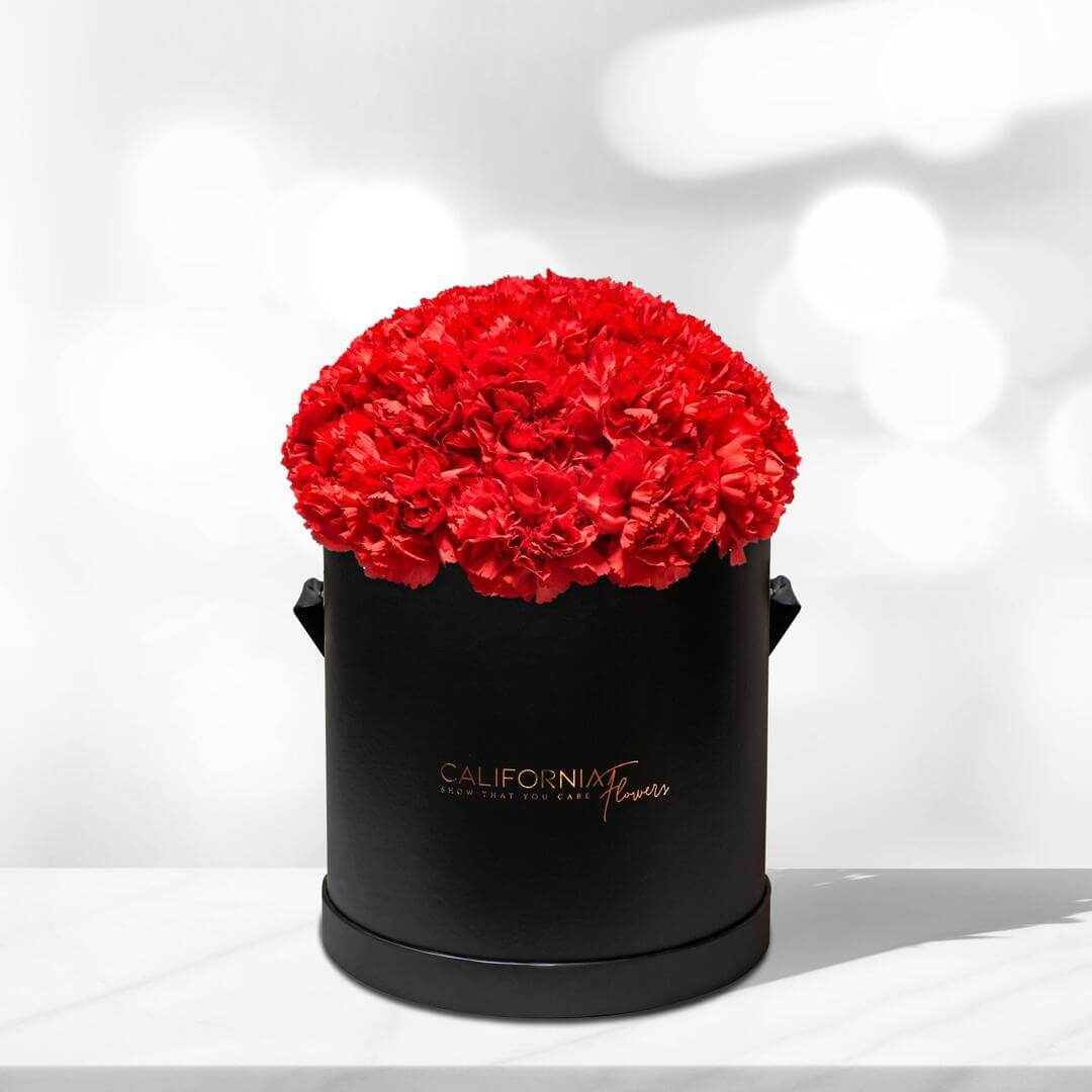 Black box with 22-24 dianthus carnations