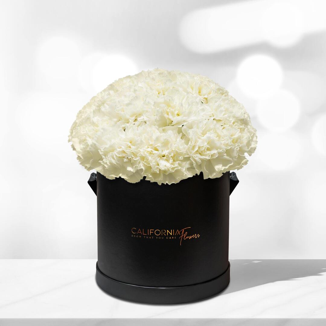 Black box with 22-24 white dianthus carnations